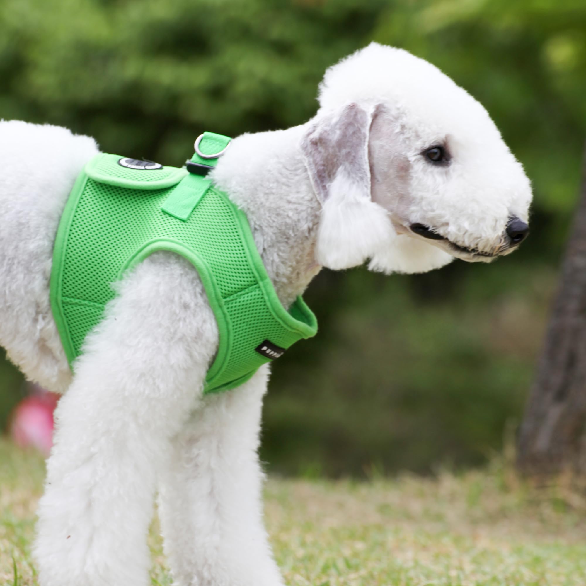 PUPPIA International Harness Soft B Vest, Large, Green