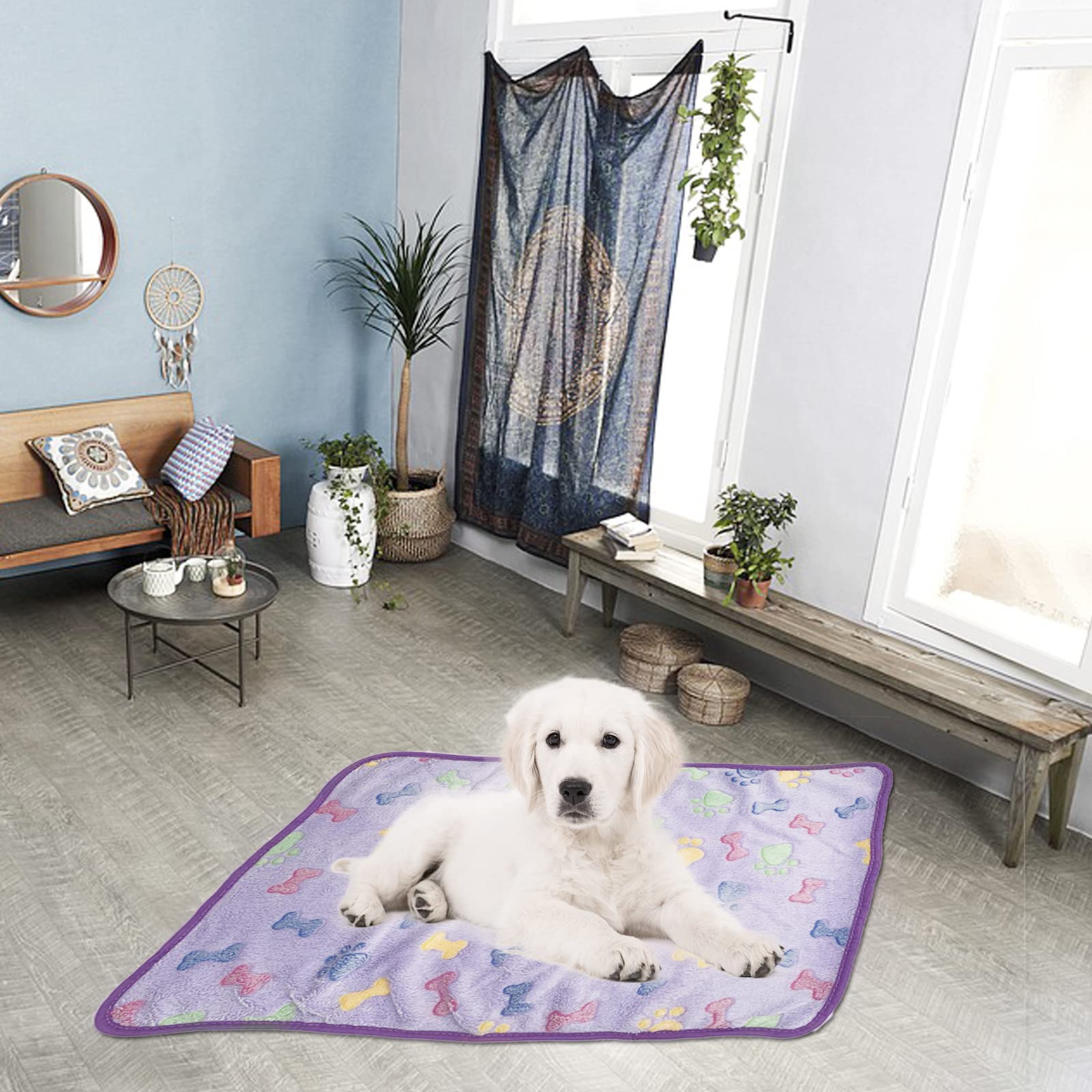 1 Pack 3 Puppy Blankets Super Soft Warm Sleep Mat Bone Print Cute Blanket Fluffy Premium Fleece Pet Blanket Flannel Throw Dog Blankets For Small Dogs Puppy Cat,Small(23'X15')