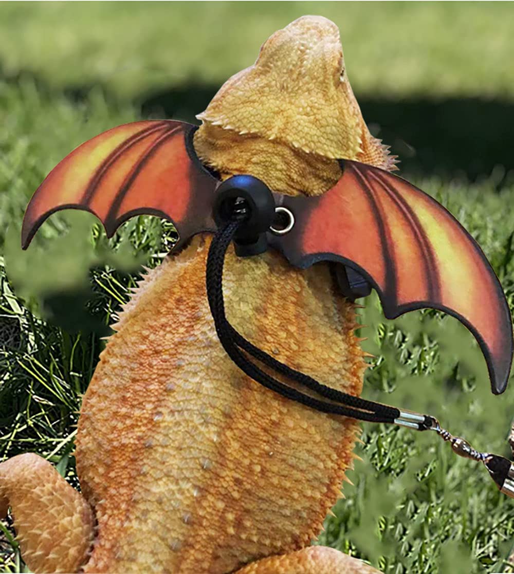 Bearded Dragon Lizard Leash Harness - Adjustable Dinosaur Wing Lizard Cool Leather Wings Safety Walking Leash (S,M,L,3Pack)