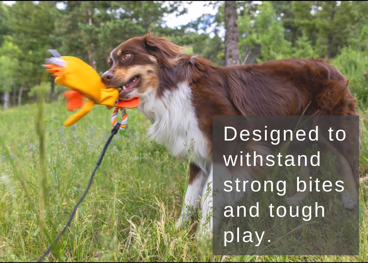 Lucolove Flirt Pole For Dogs Heavy Duty - Multi-Sensory Tough Chase Toy For Medium & Large Breeds - Extra Strong 39'' Dog Teaser