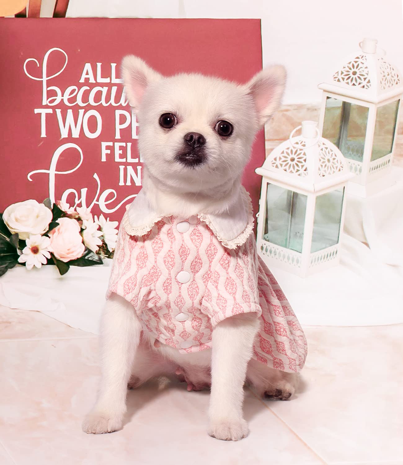 Topkins Dog Dress, Dog Birthday Skirt, Dog Cool Dress, Soft Dog Dress Cute Pet Clothes Outfit For Small Medium Dogs Girl (Pink, M)