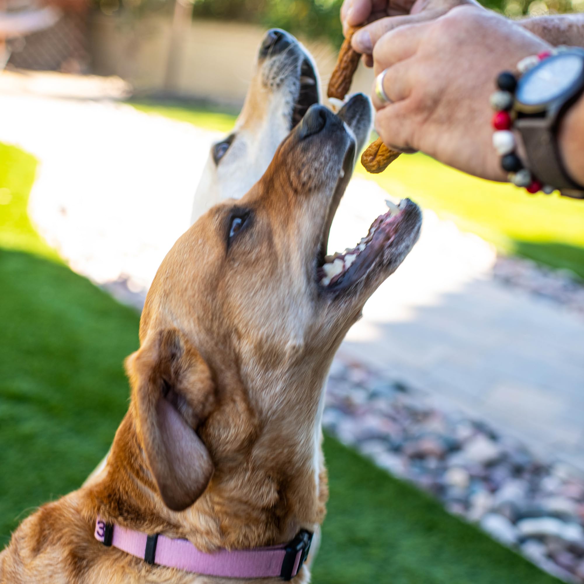 Loving Pets Natural Value Duck Sausages - Soft Jerky Dog Treats for Large & Small Breeds - Healthy Gluten, Wheat, Soy & Grain Fr