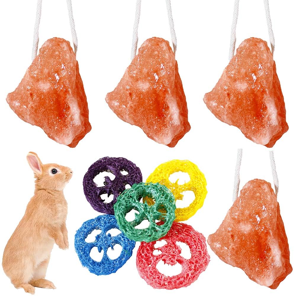 Lanxitown 4 Pcs Rabbit Salt Lick And 5 Pcs Loofah Rabbit Chew Toys Himalayan Salt Block Natural Small Animal Mineral Salt With R