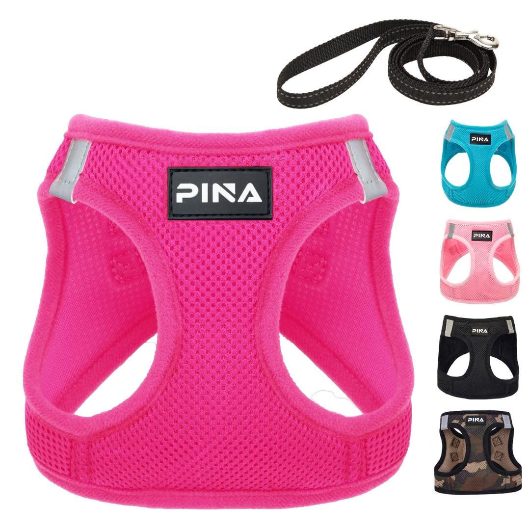 Pina Dog Harness And Leash Set For Small To Medium Dogs - No Pull, No Choke, Breathable Mesh Vest - Lightweight, Adjustable, Eas