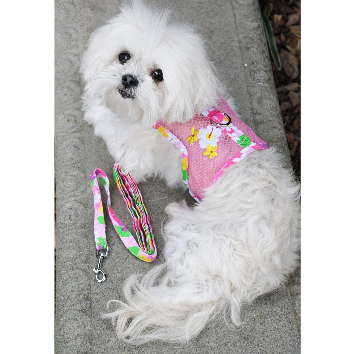 Doggie Design Cool Mesh Dog Harness With Leash Pink Hawaiian Floral (X-Small)