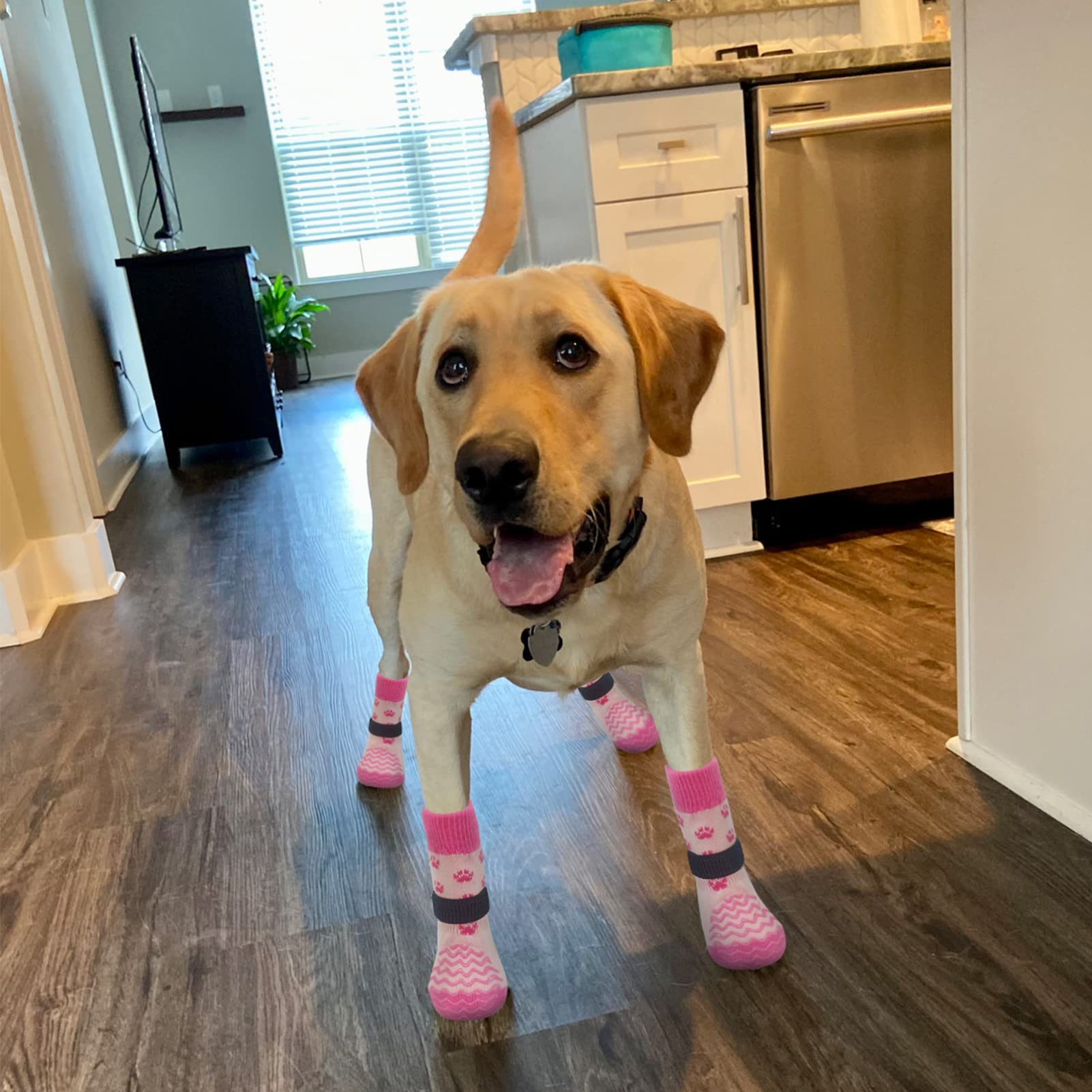 Expawlorer 3 Pairs Anti-Slip Dog Socks - Double Side Large Coverage Non-Slip That Works Even When Twisted, Soft Paw Protector, Prevents Licking, Slipping, Better Control For Indoor On Wooden Floor