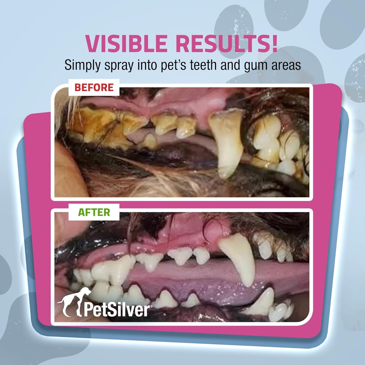 PetSilver Teeth & Gum Spray for Dogs & Cats, Natural Dental Care, 2-Pack 4 oz, Eliminates Bad Breath, Targets Tartar & Plaque