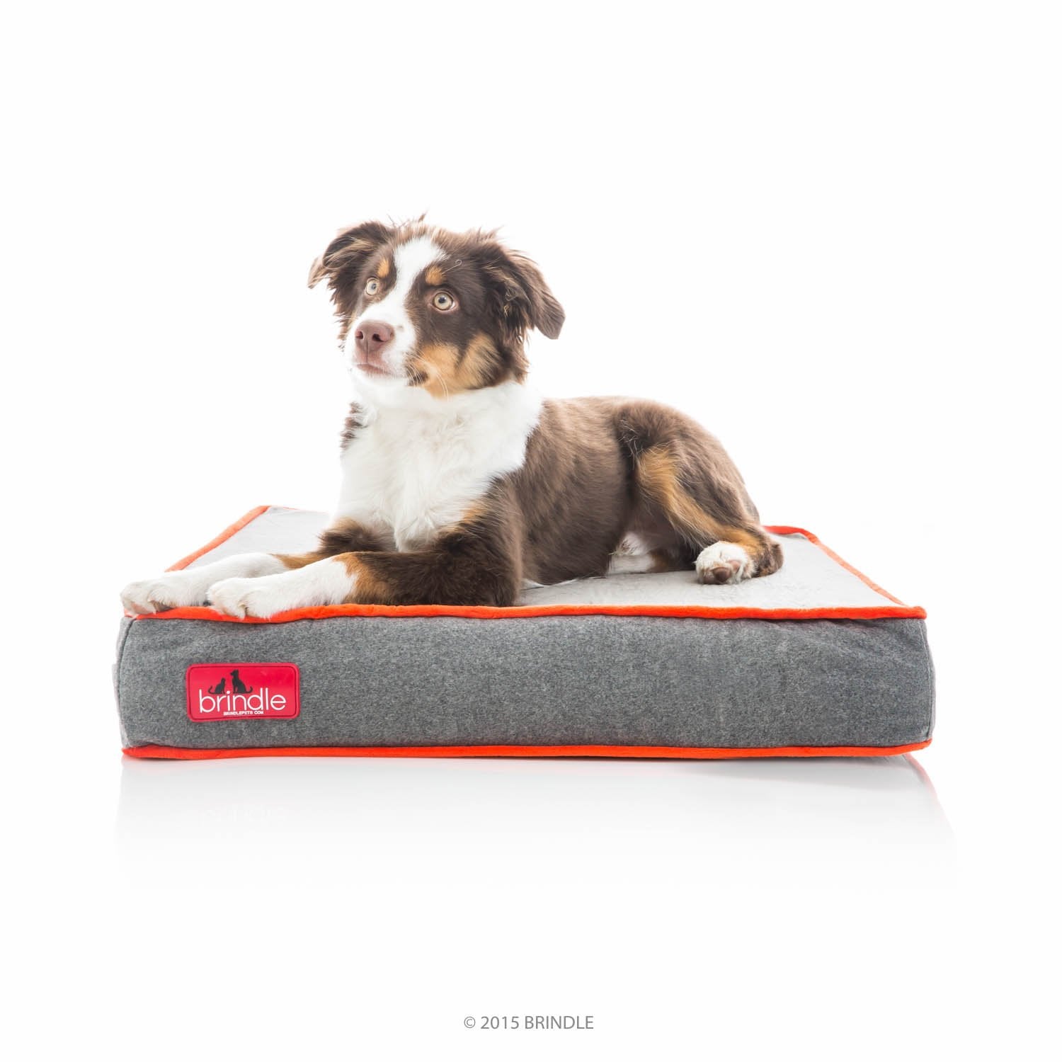 Brindle Waterproof Designer Memory Foam Pet Bed-Removable Machine Washable Cover-4 Inch Orthopedic Pet Bed-Joint Relief
