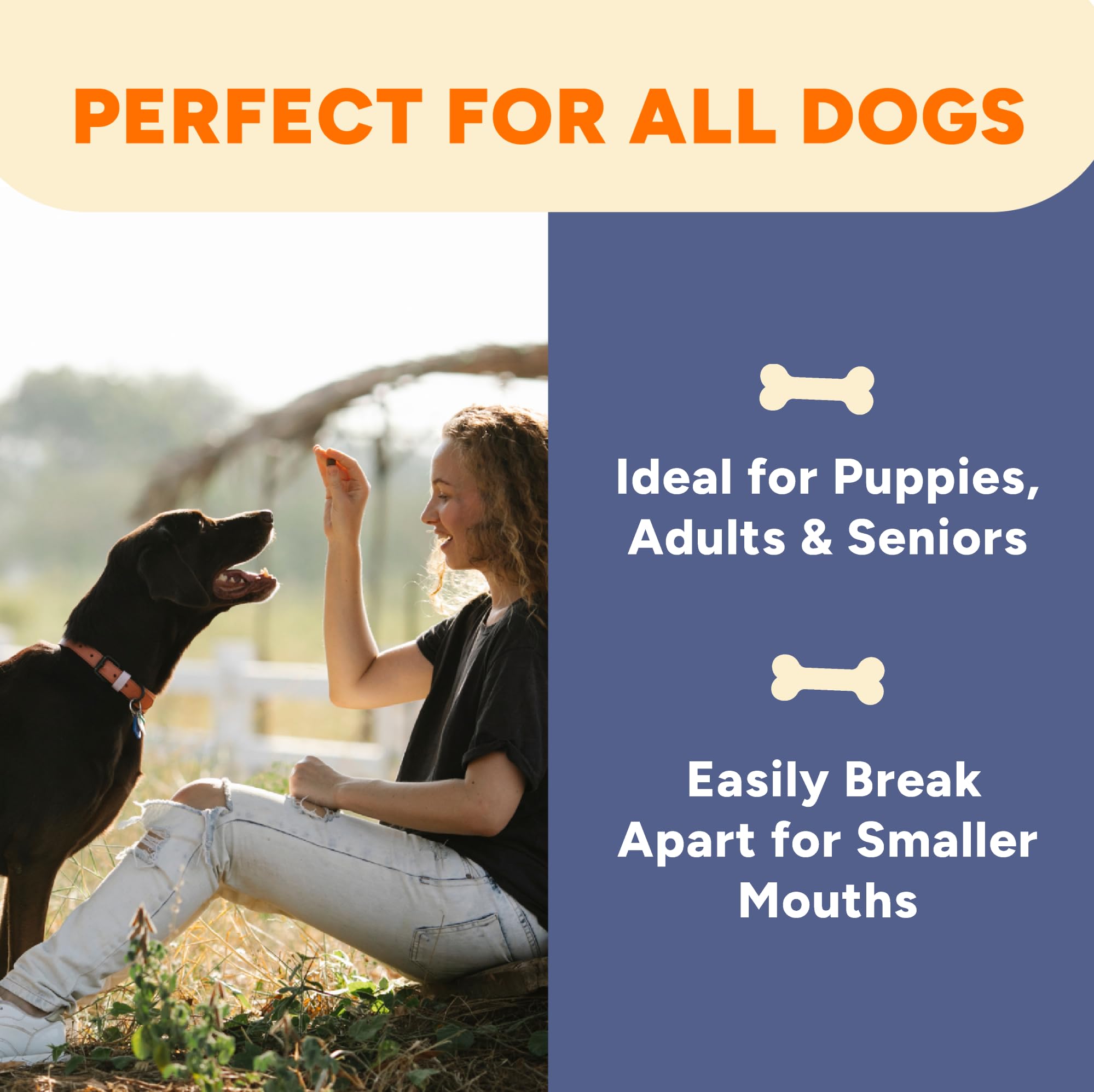 Gaines Family Farmstead Sweet Potato & Pumpkin Dog Bones - 40 oz, Natural, Grain-Free Dog Treats for Digestive Health & Immunity
