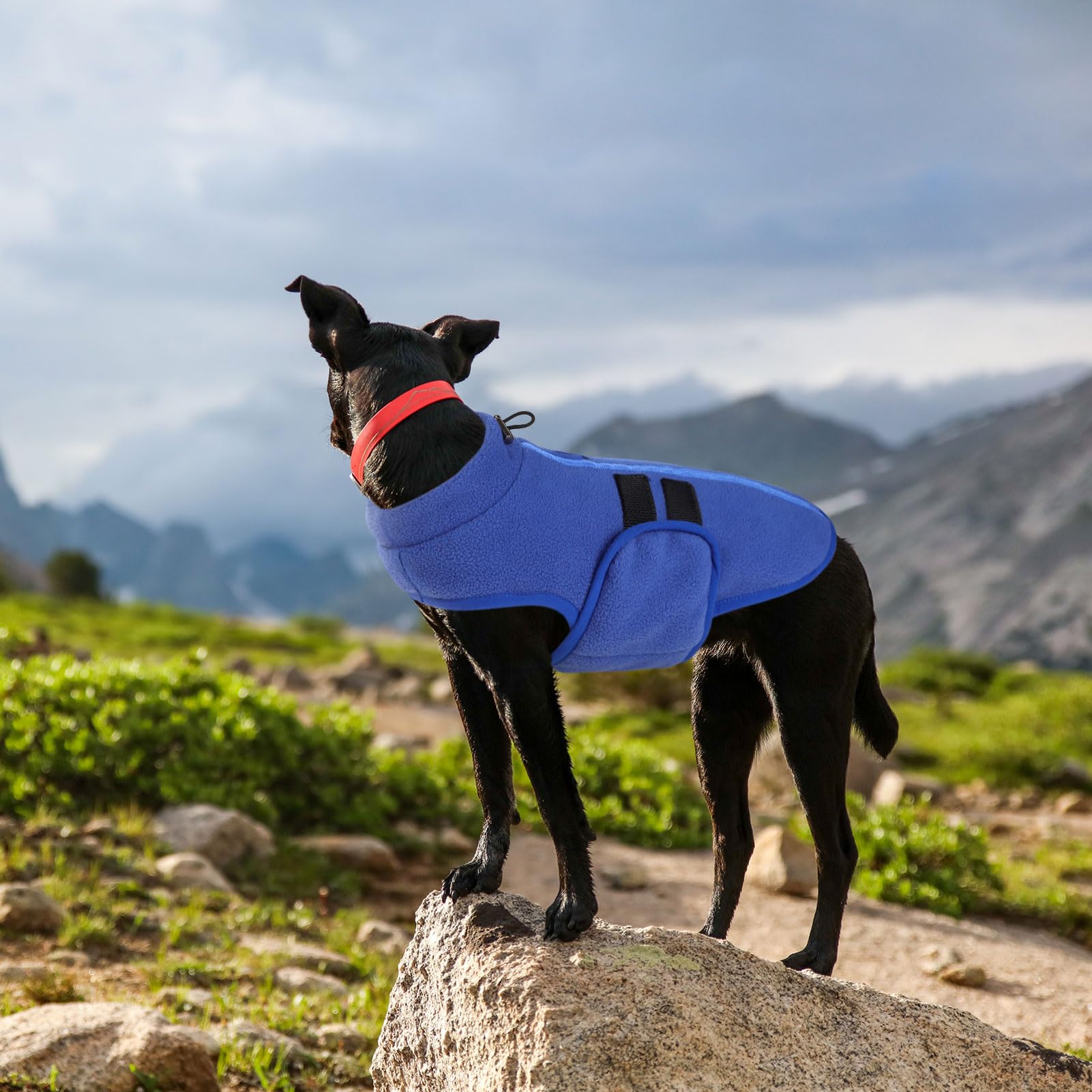 Queenmore Small Dog Sweater, Soft Fleece Vest Pullover Dog Jacket With Leash Hole, Warm Winter Dog Coats Cold Weather Doggy Dach