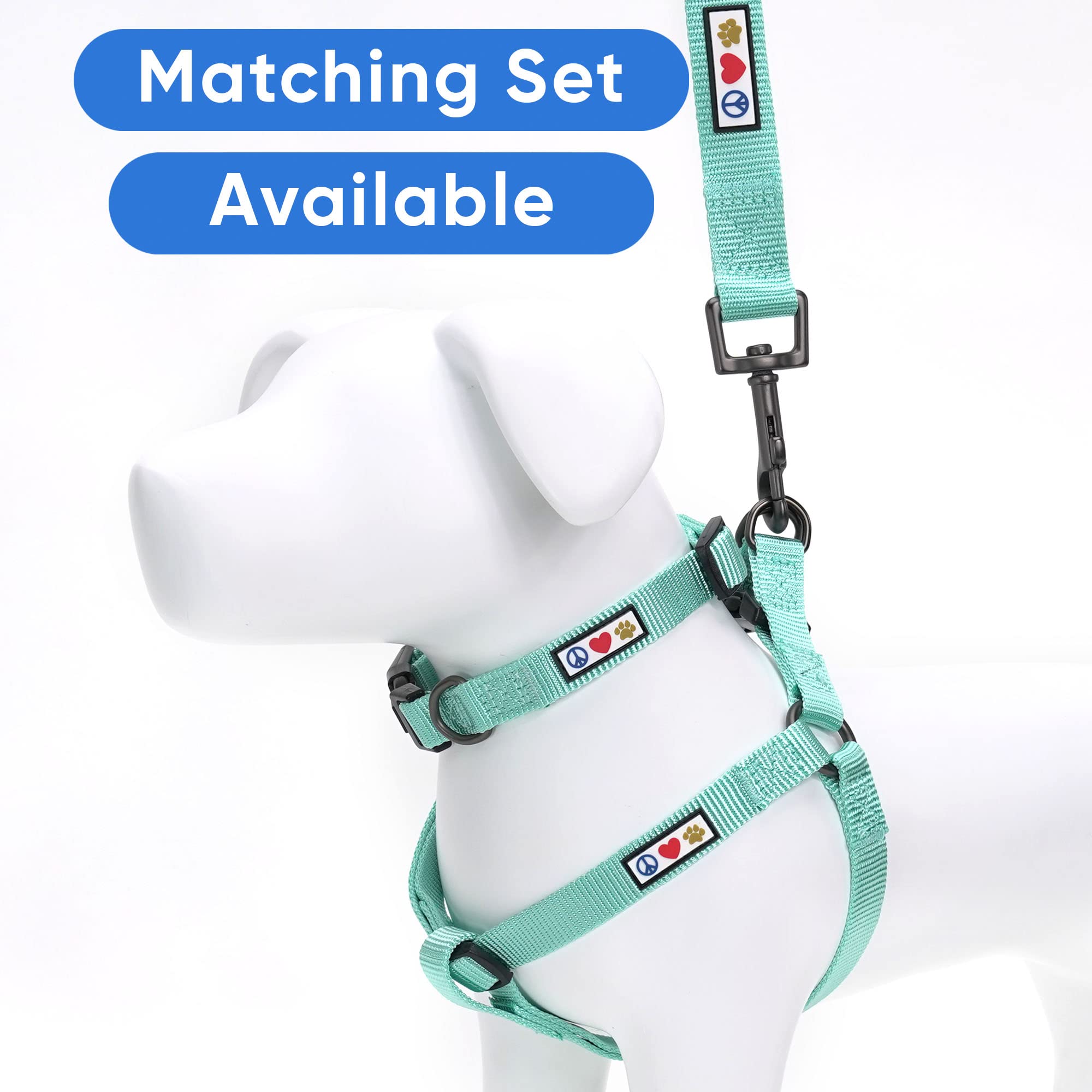 Pawtitas Dog Lead for Small Dogs Comfortable Handle Training Dog Lead 1.8m Long Dog Lead Puppy Lead - Solid Teal Dog Lead for Sm