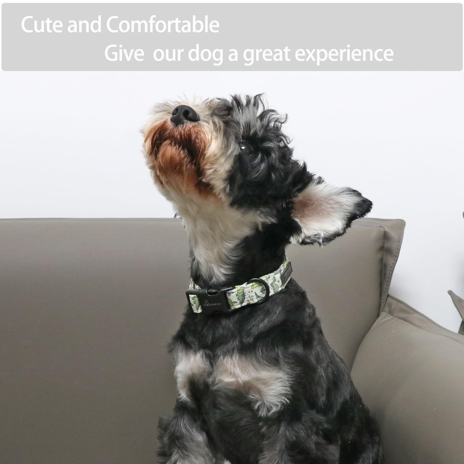 Aring Pet Dinosaur Dog Collar-Cute Dog Collar For Small Dogs, Adjustable Comfortable Cotton Boy Dog Collars For Small Medium Large Dogs, Medium