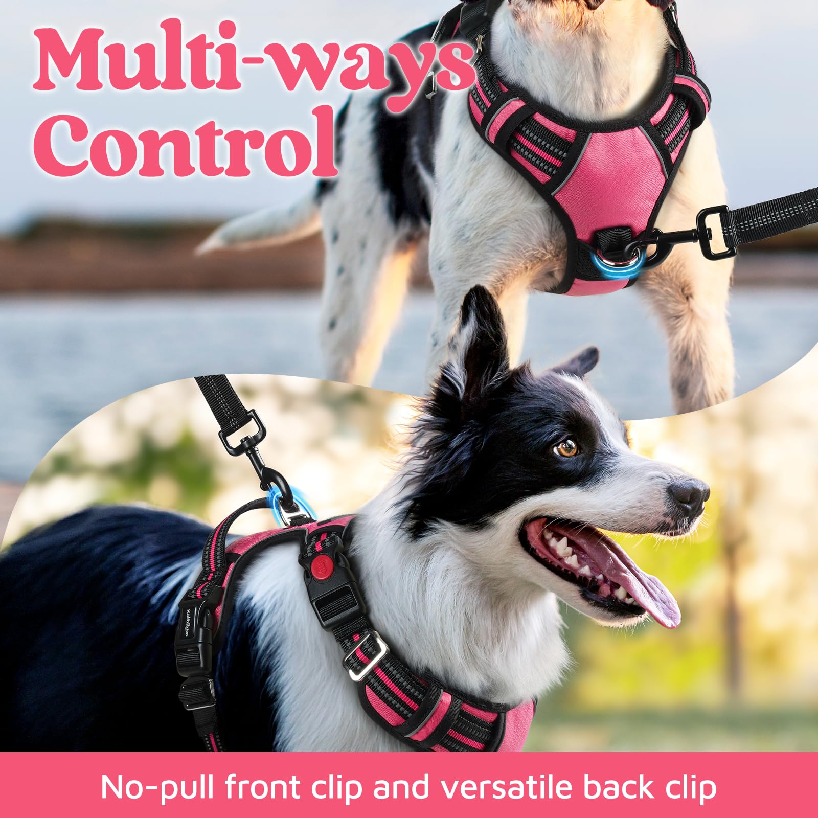 Rabbitgoo Dog Harness Medium Sized, No Pull Dog Vest With 3 Buckles, Adjustable Soft Padded Pet Harness With Easy Control Handle