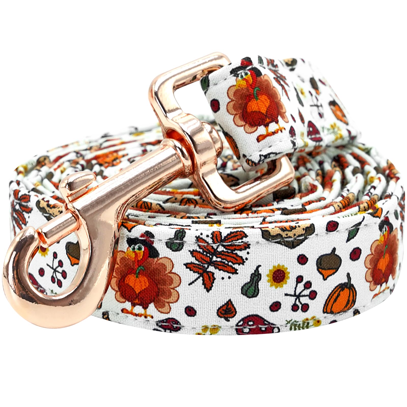 Lionheart Glory Strong Dog Leash Thanksgiving Turkey Durable Dog Leashes With Comfortable Soft Handle For Small Medium And Large