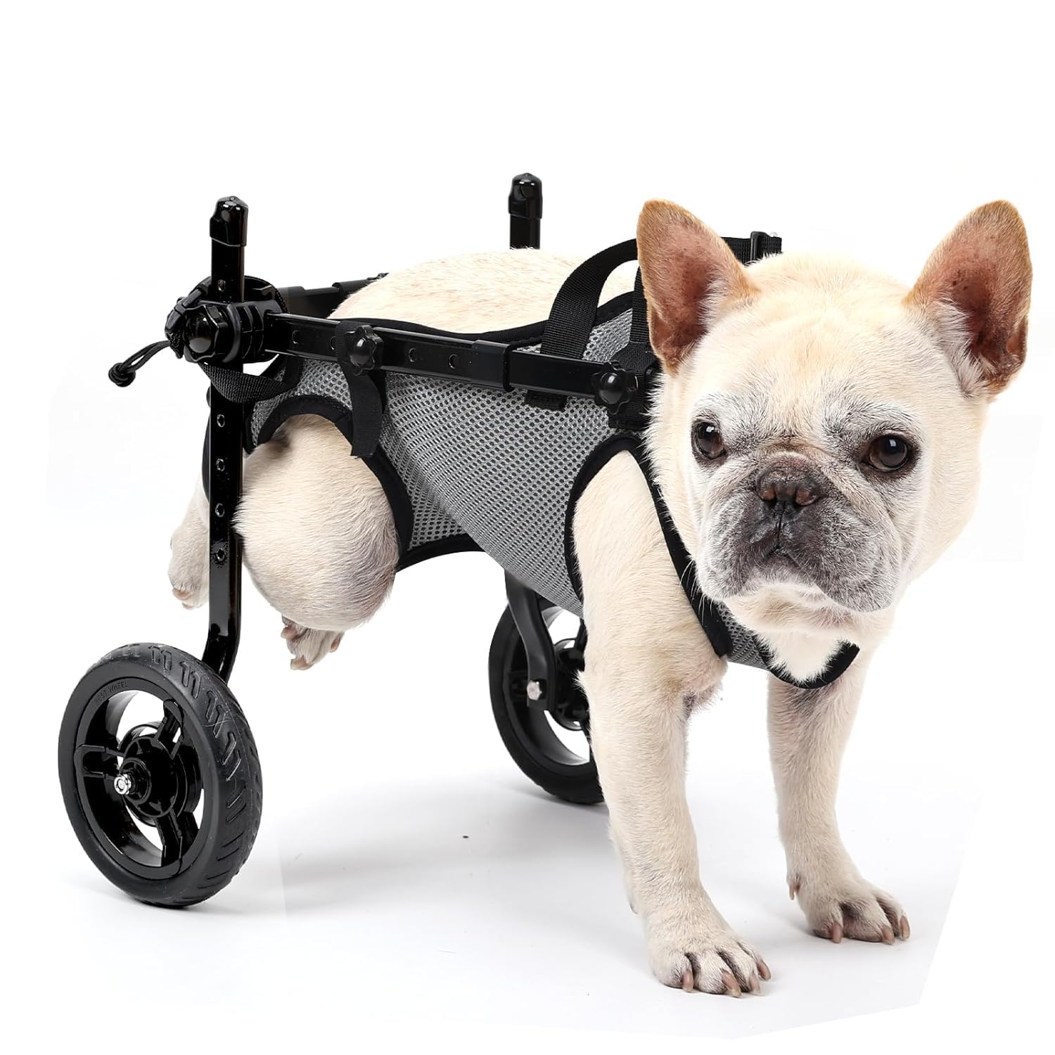BECROWM Small Dog Wheelchair for Back Legs, Light Weight Dog&Cat&Pets Wheelchair Cart with Disabled Hind Legs Walking, Adjustabl