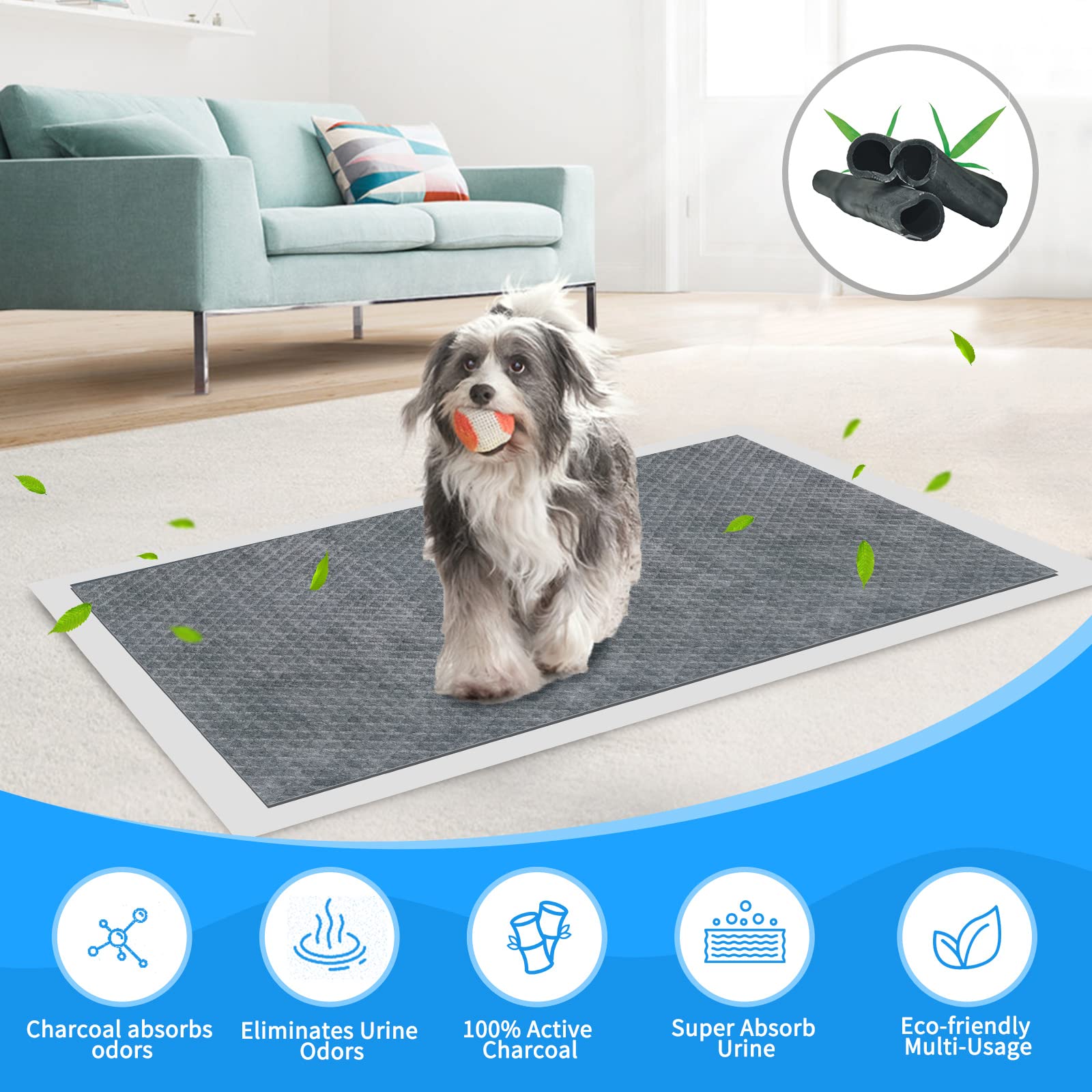 60pcs Charcoal Puppy Pads - Extra Large 24 x 36 Carbon Odor Control, 6-Layer Leak-Proof & Quick Dry Dog Training Pads