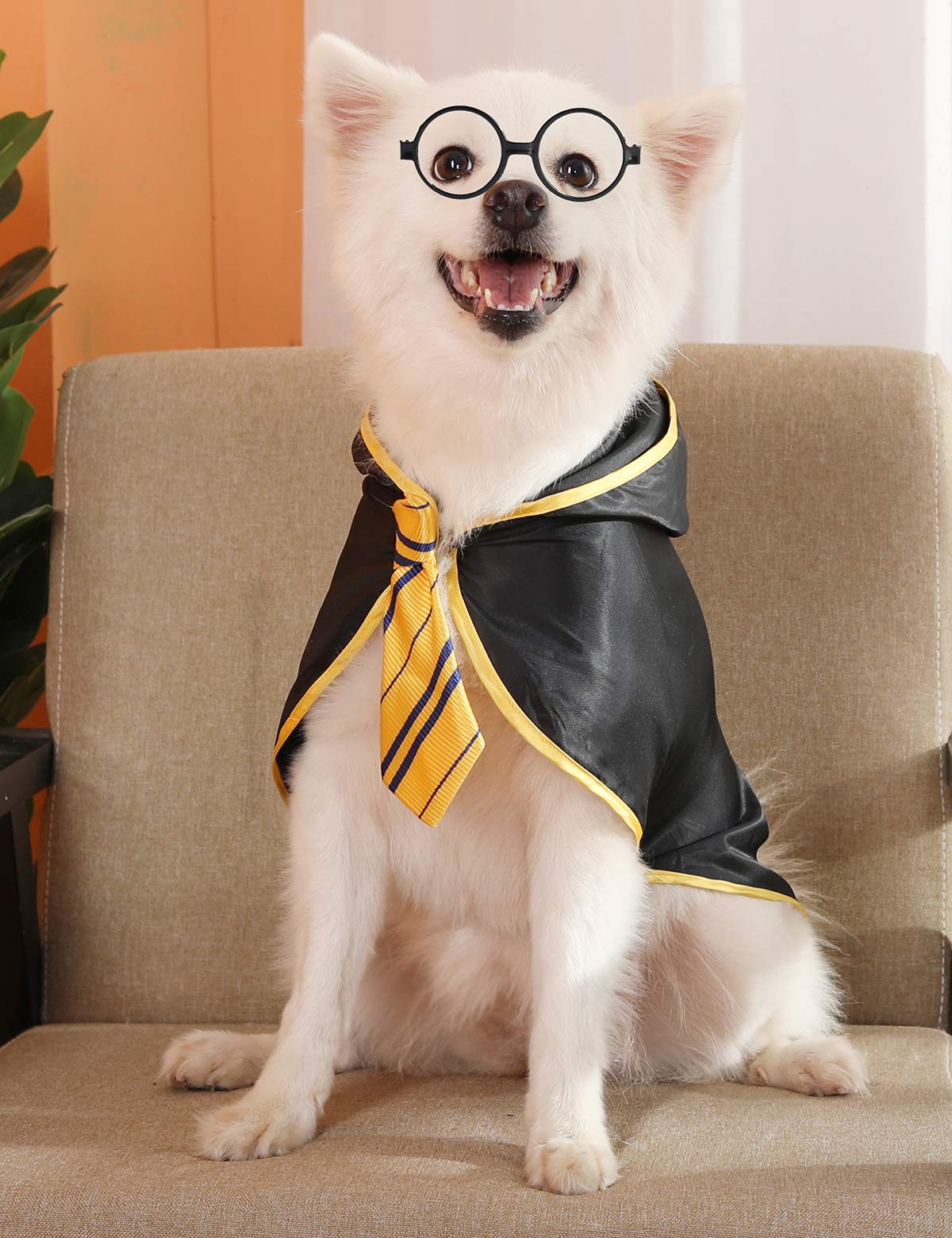 Coomour Halloween Dog Costume Wizard Pet Shirt Funny Cat Clothes For Dogs Cats Clothing Outfits With Glasses (Large,Yellow)