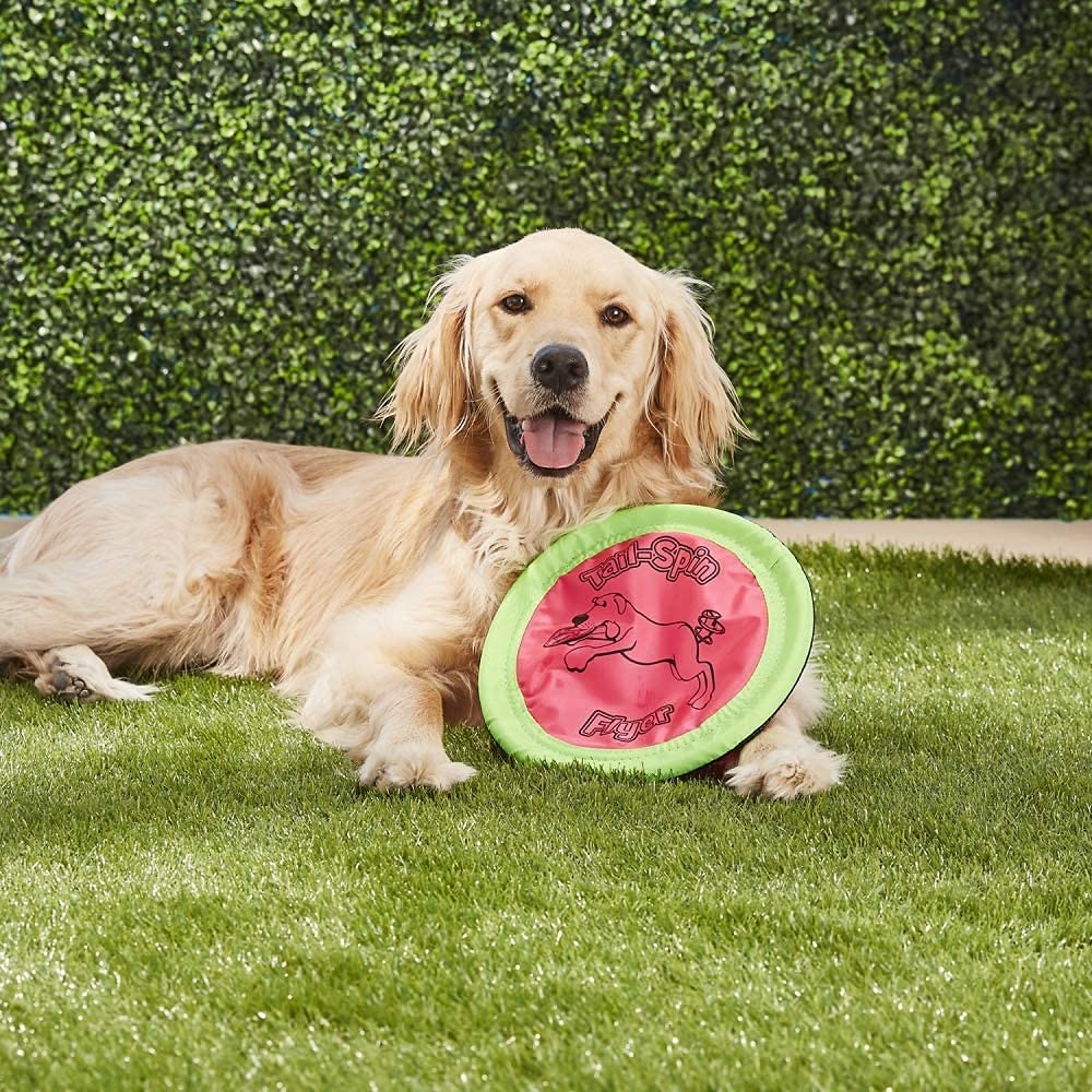 Booda Tail-Spin Flyer 10'' Diameter Floppy Dog Frisbee (Pack Of 2)