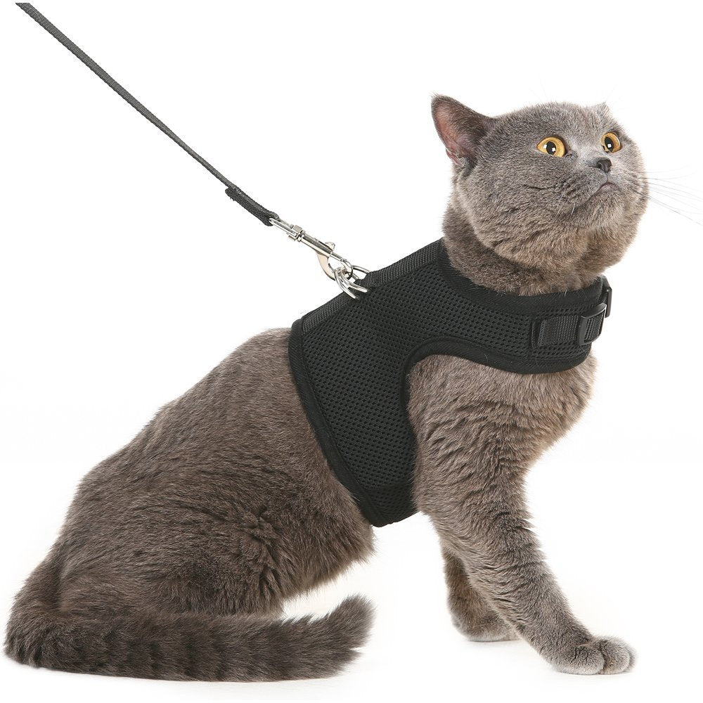 Pupteck Soft Mesh Cat Vest Harness And Leash Set Puppy Padded Pet Harnesses Escape Proof For Cats Small Dogs, Pink Large