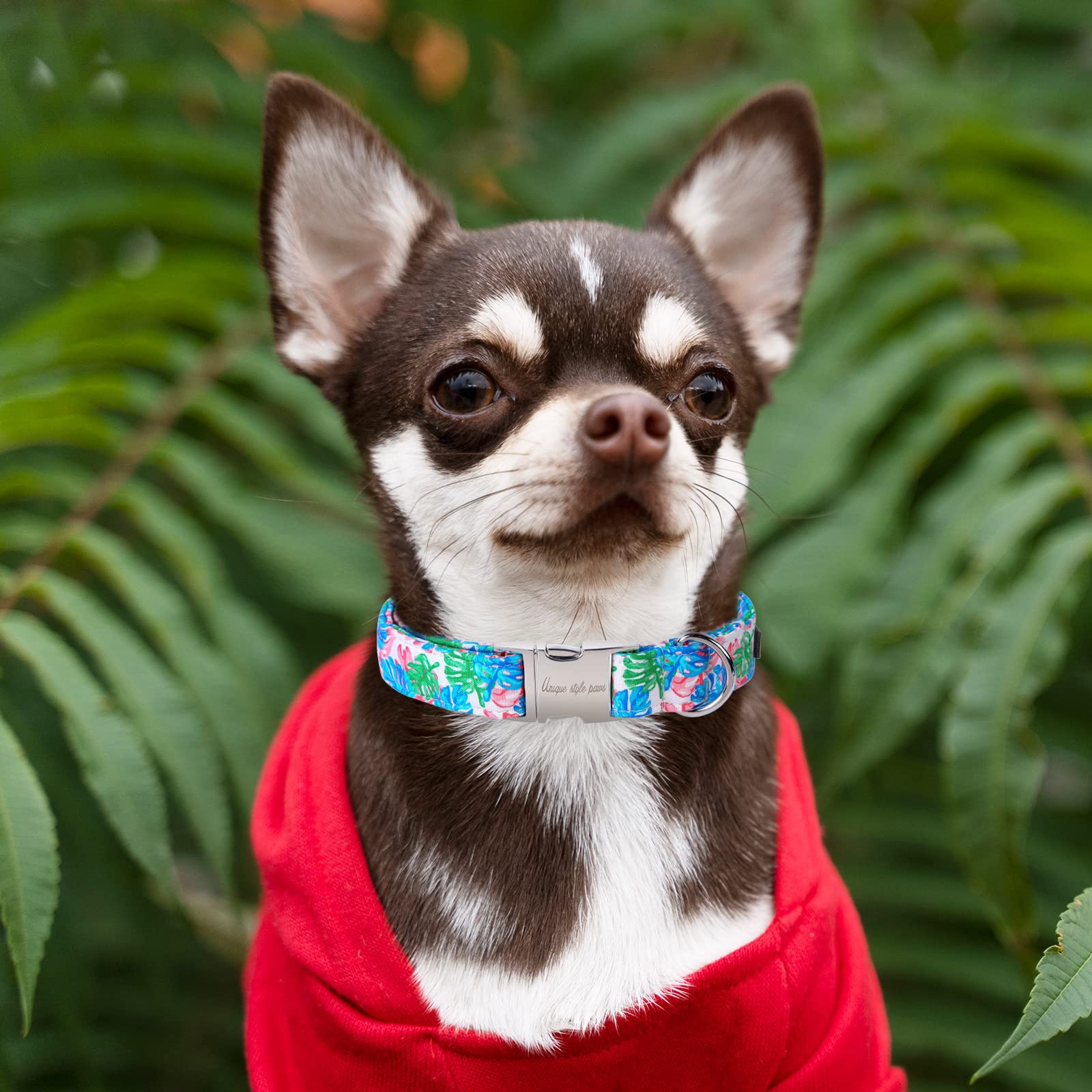 Unique Style Paws Dog Collar Metal Buckle Painting Banana Leaves Collar Gift Durable Cute Collar For Small Medium Large Boys Gir