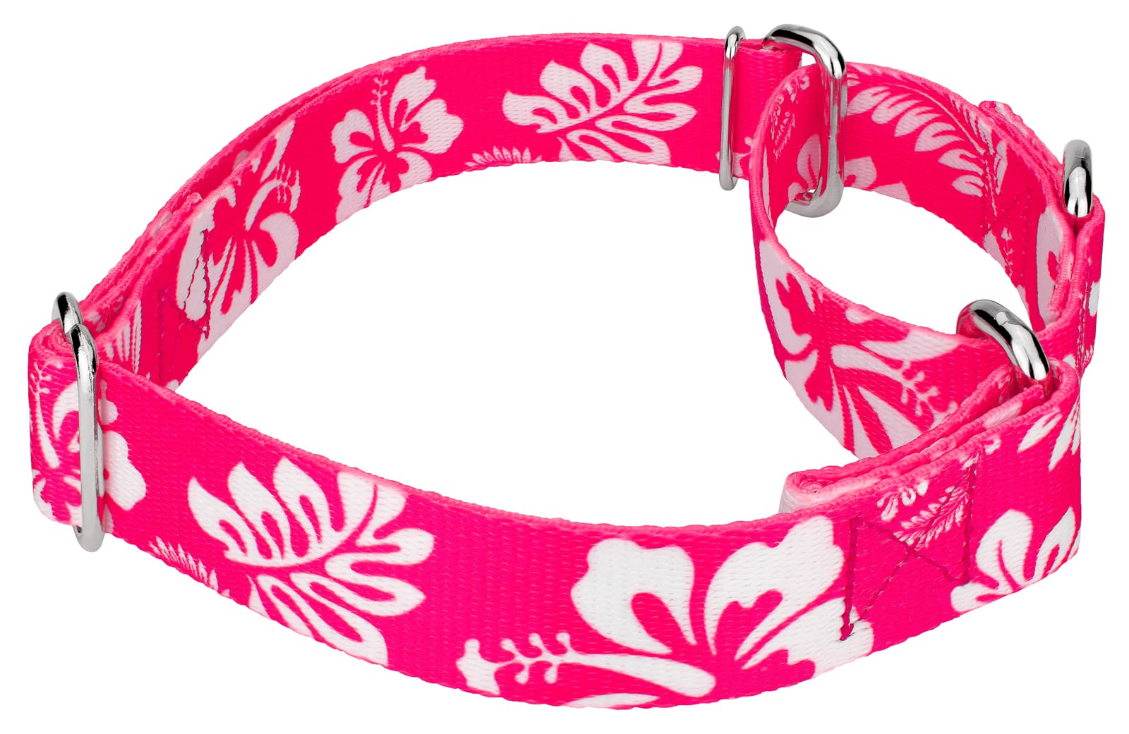 Country Brook Petz - Pink Hawaiian Martingale Dog Collar And Leash - Summer Breeze Collection Featuring Sunny Designs (1 Inch, Medium)