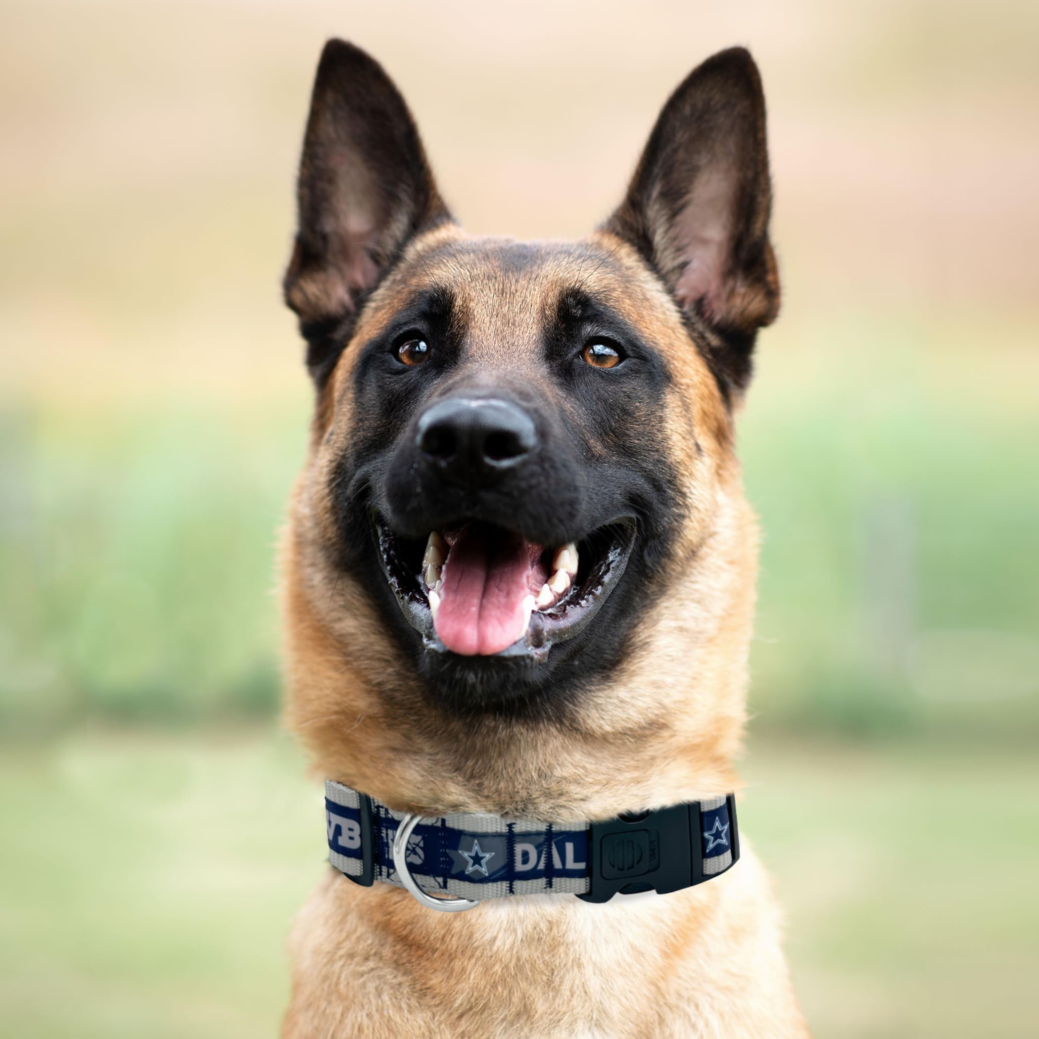 NFL Dallas Cowboys Dog Collar, X-Large SUPER TOUGH with Anti-Open Safety Lock Button