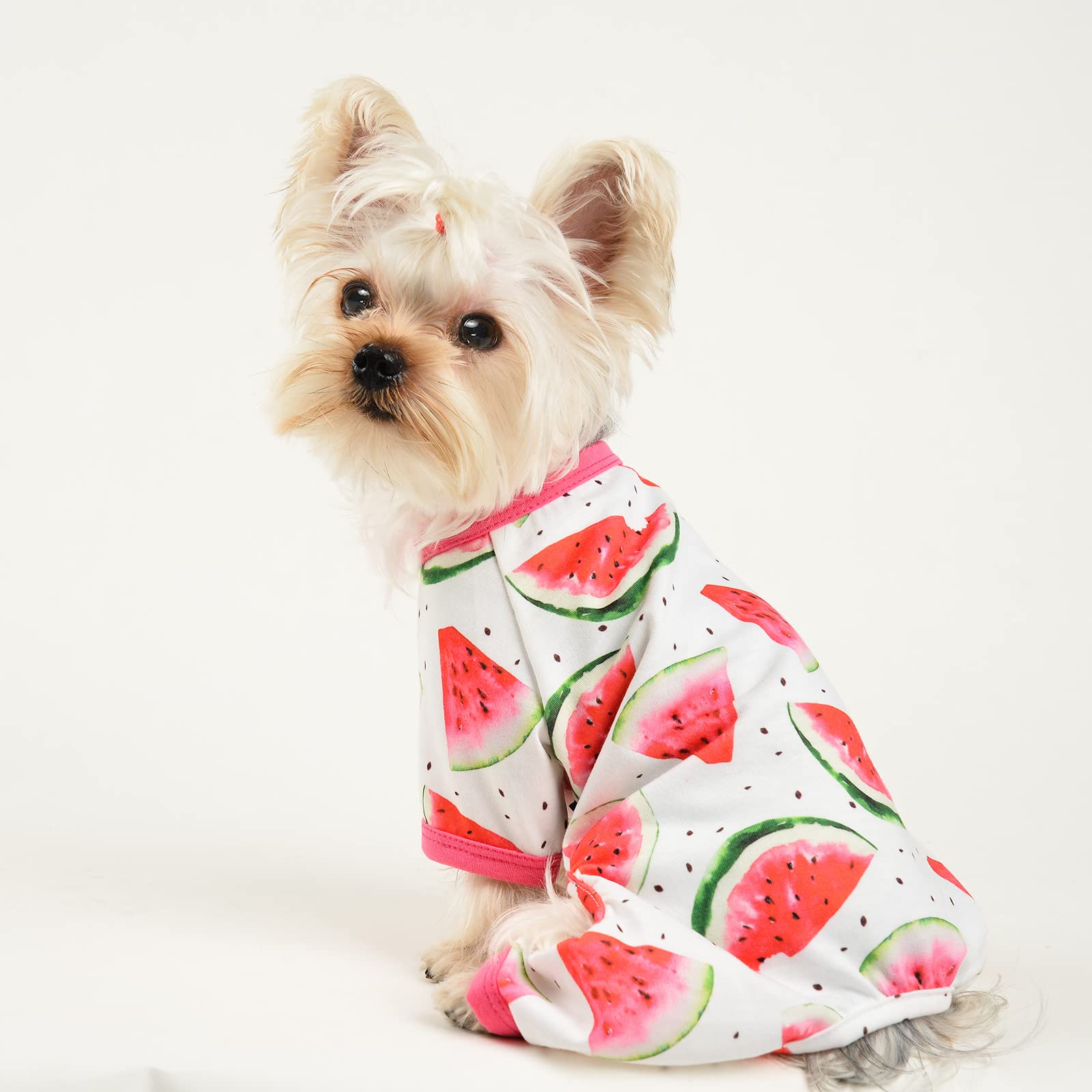 Dog Pajamas For Small Dogs, Chihuahua Pajamas, Puppy Clothes, Extra Small Puppy Pjs, Soft Pet Pis,Dog Shirts Chihuahua Yorkie Teacup Cat Clothing (Watermelon, Small)