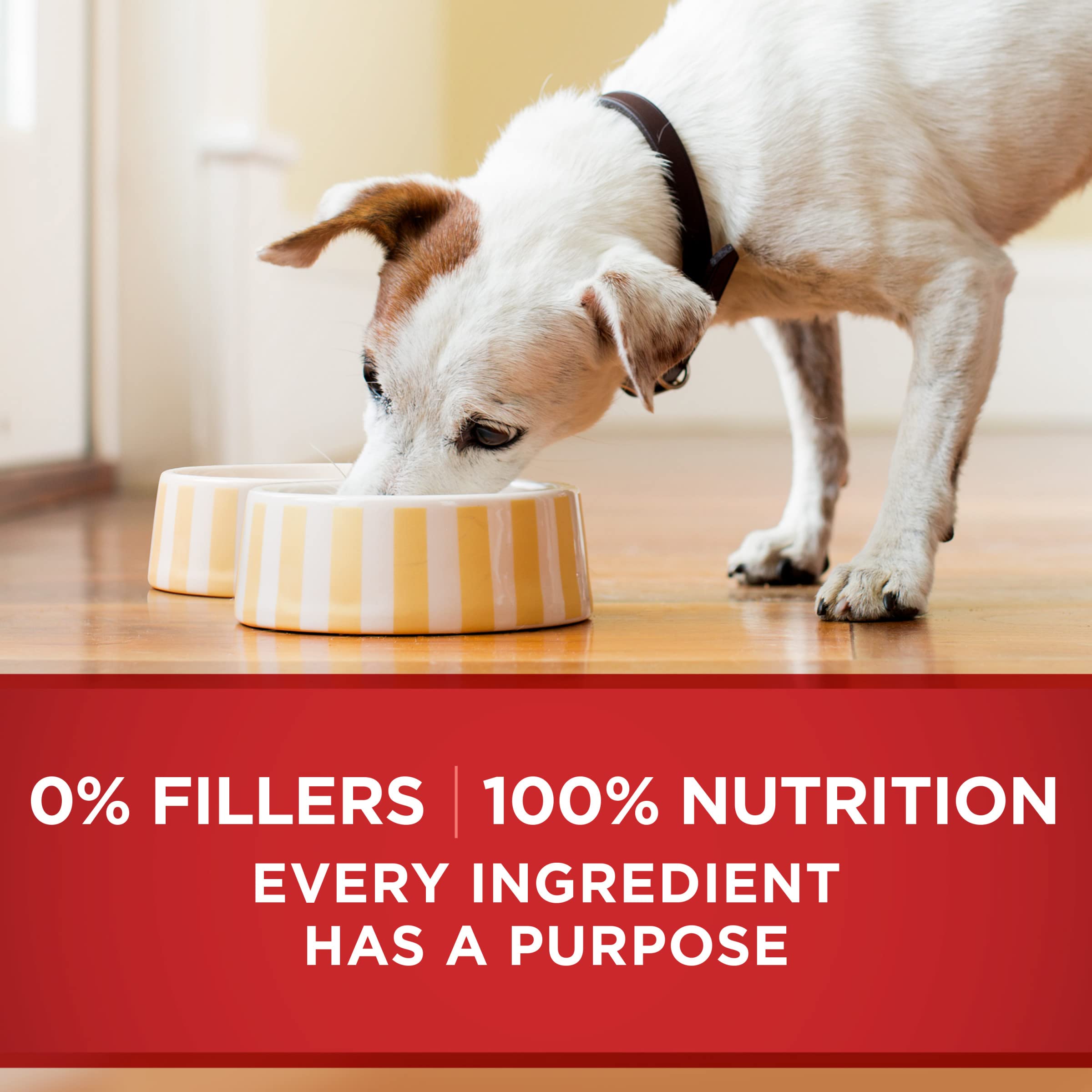 Purina ONE Natural Wet Dog Food Gravy, Tender Cuts in Gravy Beef and Barley Entr  e - 13 Ounce (Pack of 12)