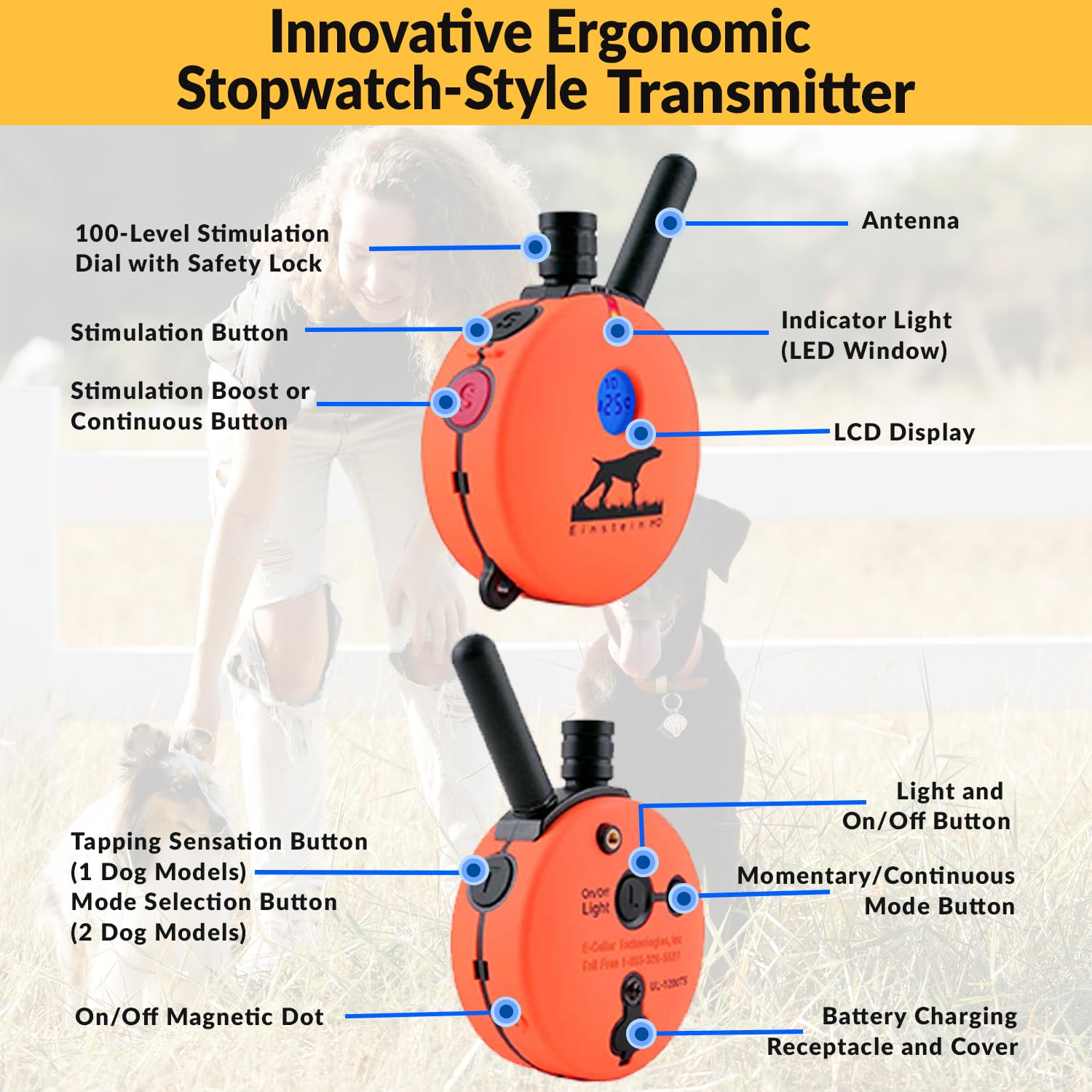 Educator E-Collar Humane Dog Training Collar With Remote, 100 Safe Tapping Stimulation Levels, Night Light, Waterproof, Rechargeable, 1 Mile 1 Large Dog, Orange