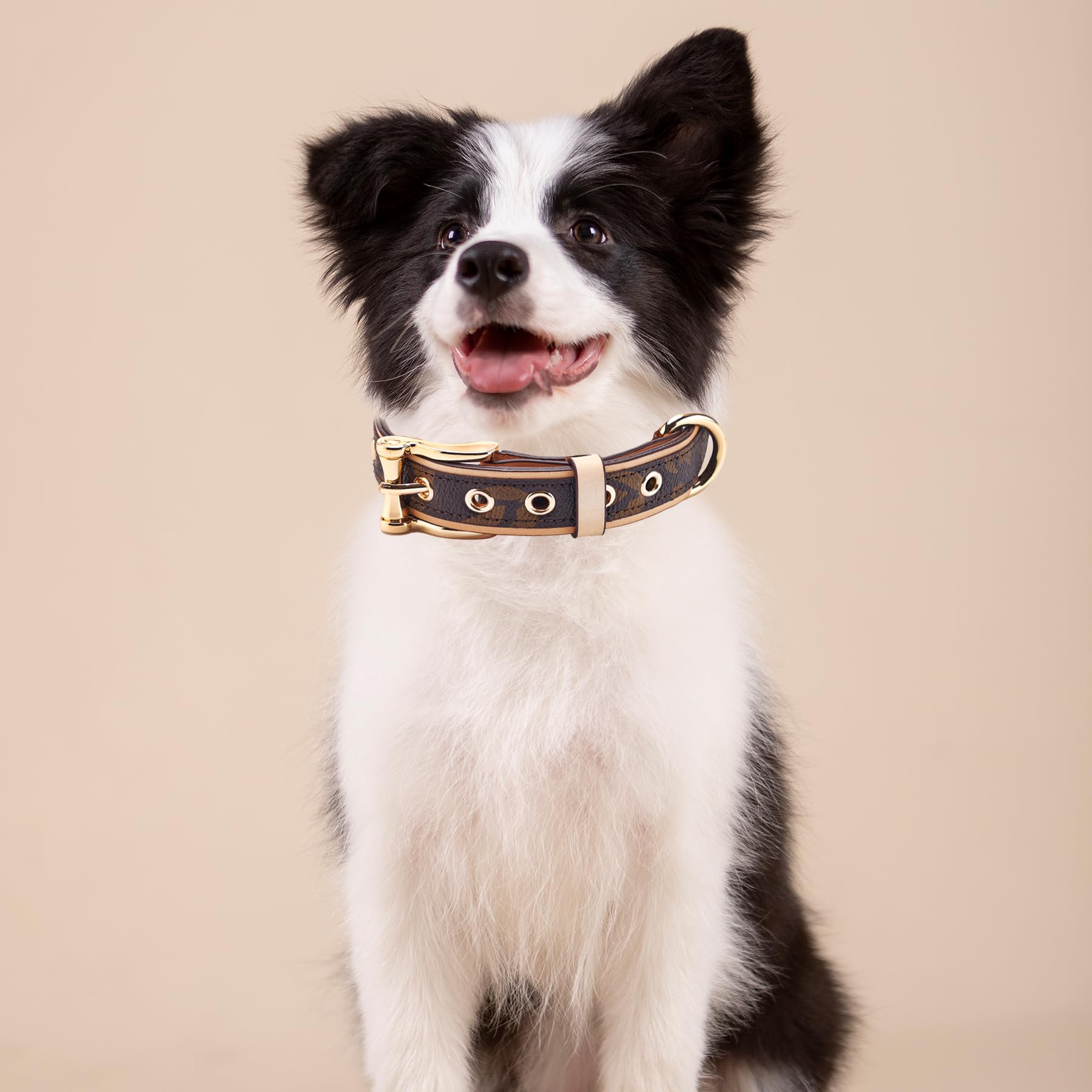 Blu&Ben Leather Dog Collars Classic Soft Padded Leather Stylish Breathable Collar For Small Medium Large Dogs