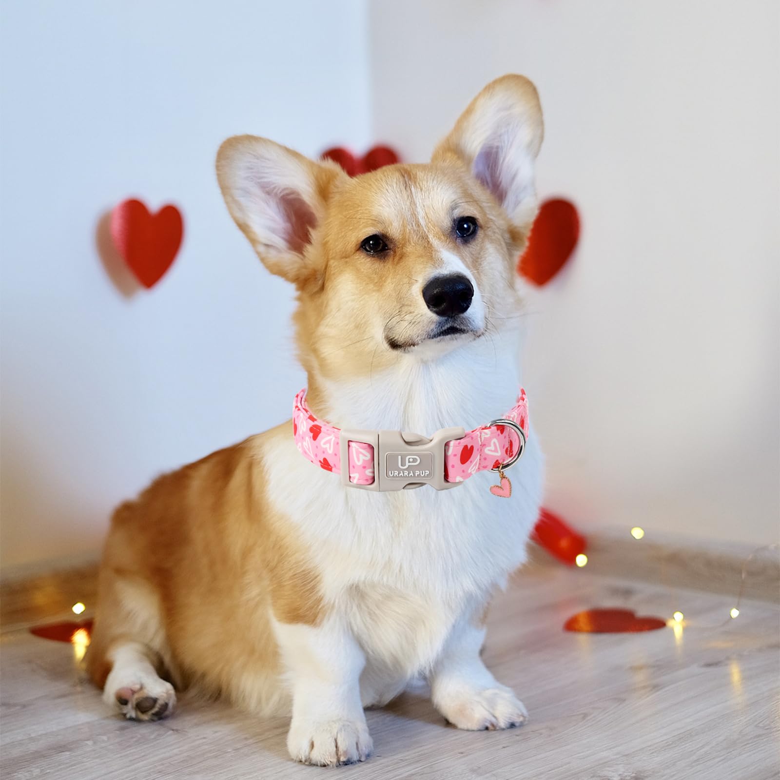Up Urara Pup Valentines Dog Collar, Pink Heart Dog Collar With Quick Release, Valentines Gift Pet Girl Boy Dog Collar For Puppy
