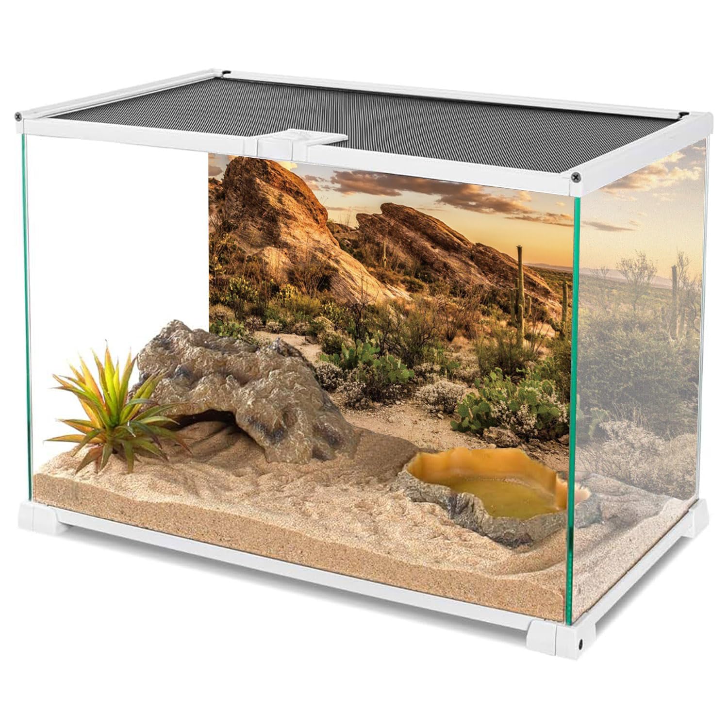 AWERT Reptile Habitat Background Blue Sky Oasis Cactus Sun and Desert Terrarium Background 48x24 inches Durable Polyester Backgr