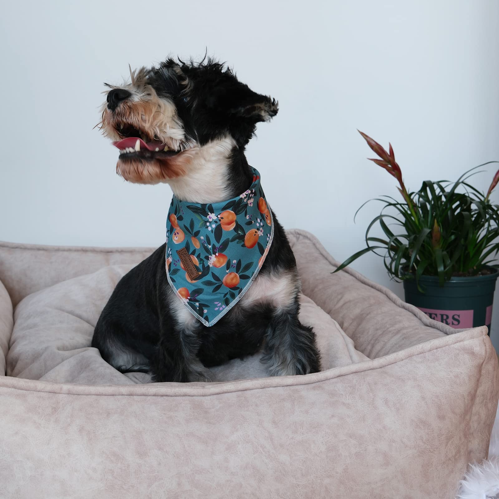 Up Urara Pup Summer Dog Bandana - Comfortable Cotton Triangle Scarf For Puppy, Small Dogs Or Cats - Washable Pet Kerchief, Peach