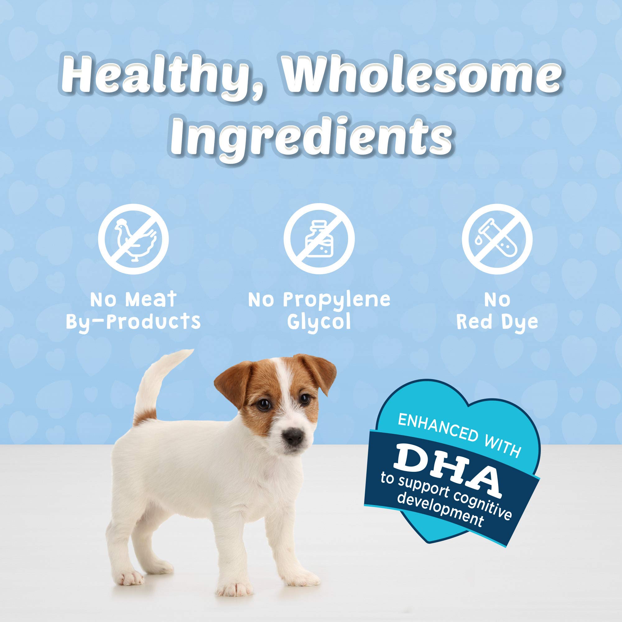 Blue Buffalo Bits Soft Dog Treats for Training, Made With Natural Ingredients & Enhanced with DHA, Chicken Recipe, 4-oz Bag