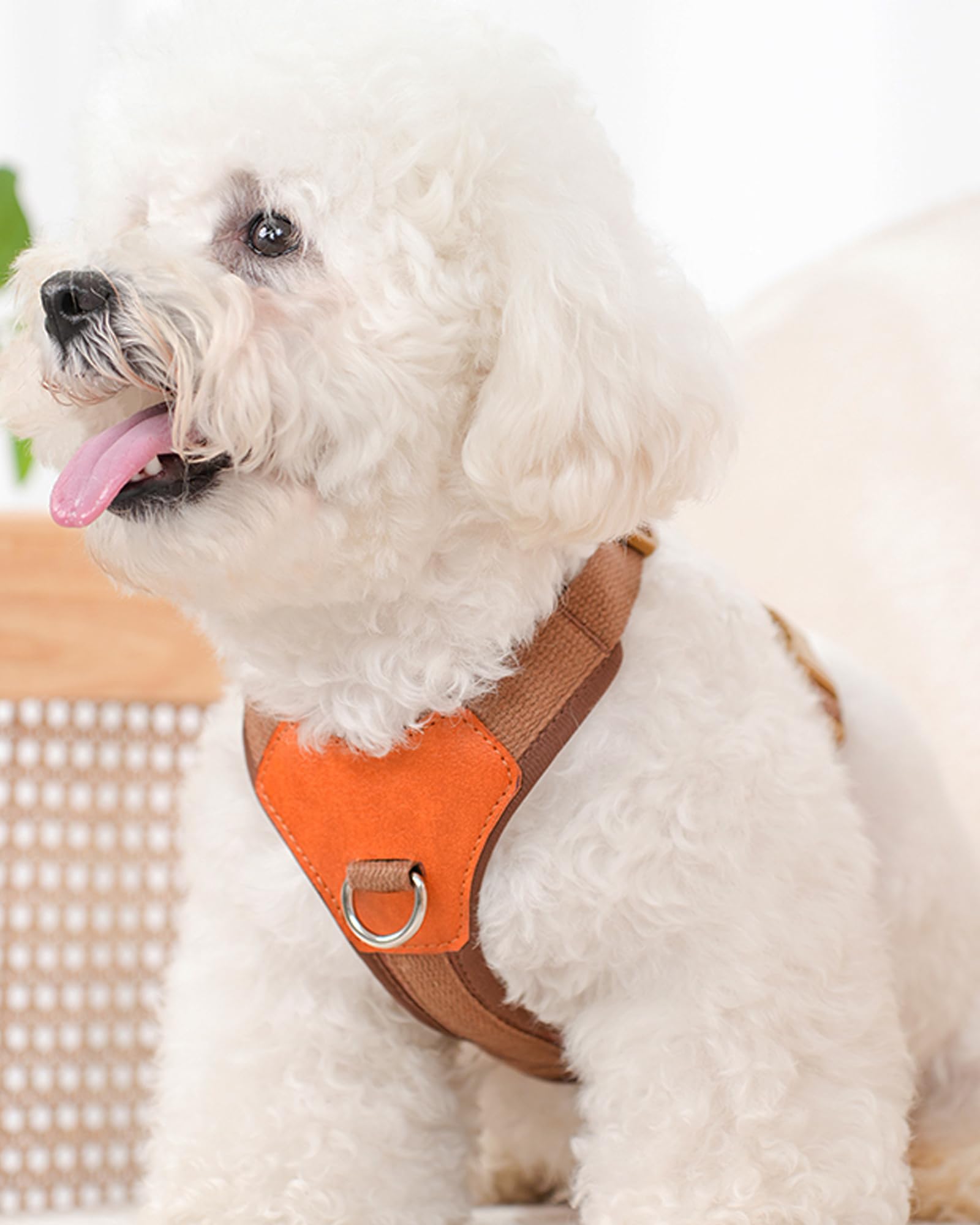 Brown Dog Harness For Small Dogs, No Pull Dog Harness With 2 Leash Clips, Small Sized Puppy Harness (Brown, S)