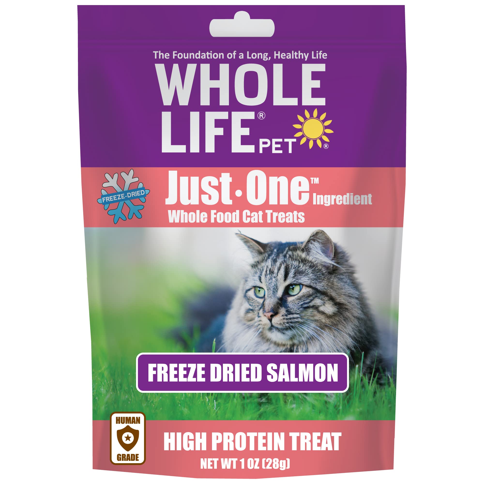 Whole Life Pet Just One Salmon - Cat Treat Or Topper - Human Grade, Freeze Dried, One Ingredient - Protein Rich, Grain Free, Mad