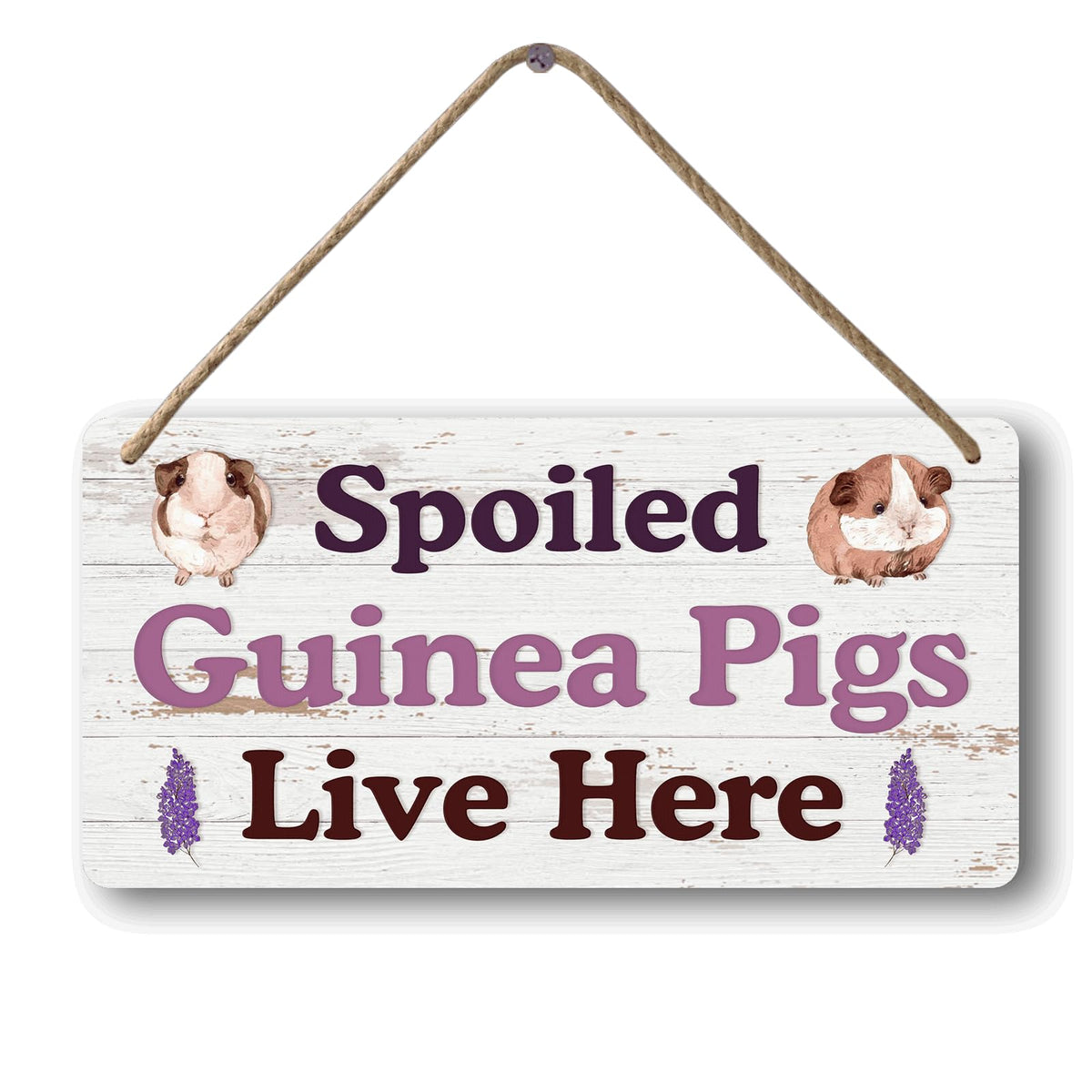 Big Hamster Ball & Guinea Pig Hideout - Stuffed Animals & Accessories for Guinea Pig Cage - 12x6 In Wooden Sign