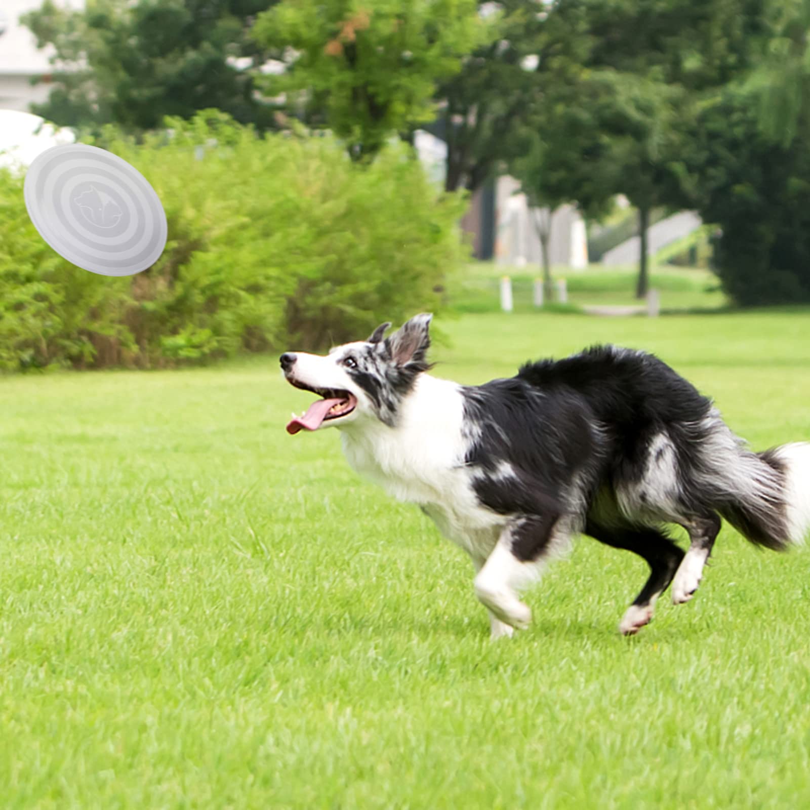 Slson Dog Bowls Pet Collapsible Bowl With Cover Lids,2 Pack Dog Travel Bowls Portable Foldable Cat Water Dish Bowl For Pets Walking Parking Camping (Black And Black, Large)
