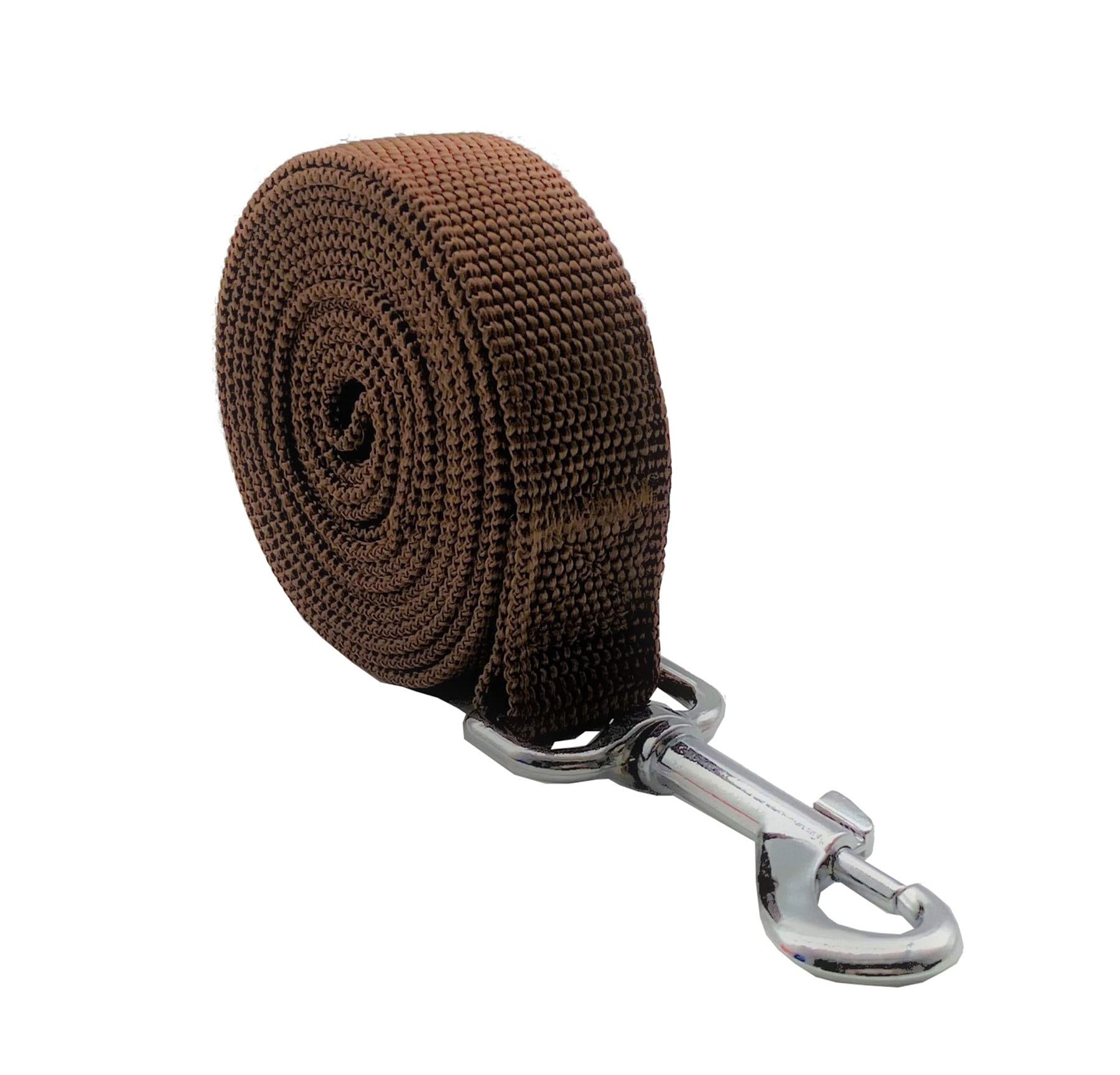 Nylon Dog Leash 12 Feet Long, Walking Training Dog Leashes For Medium Large Dogs(1'' X 12 Ft, Brown)