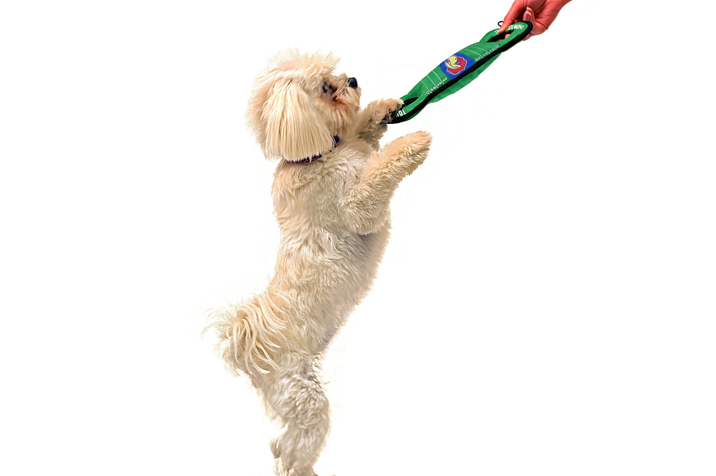 Pets First Ncaa Football Field Dog Toy With Squeaker. - Kansas Jayhawks - For Tug, Toss, And Fetch. - Tough& Durable Pet Toy