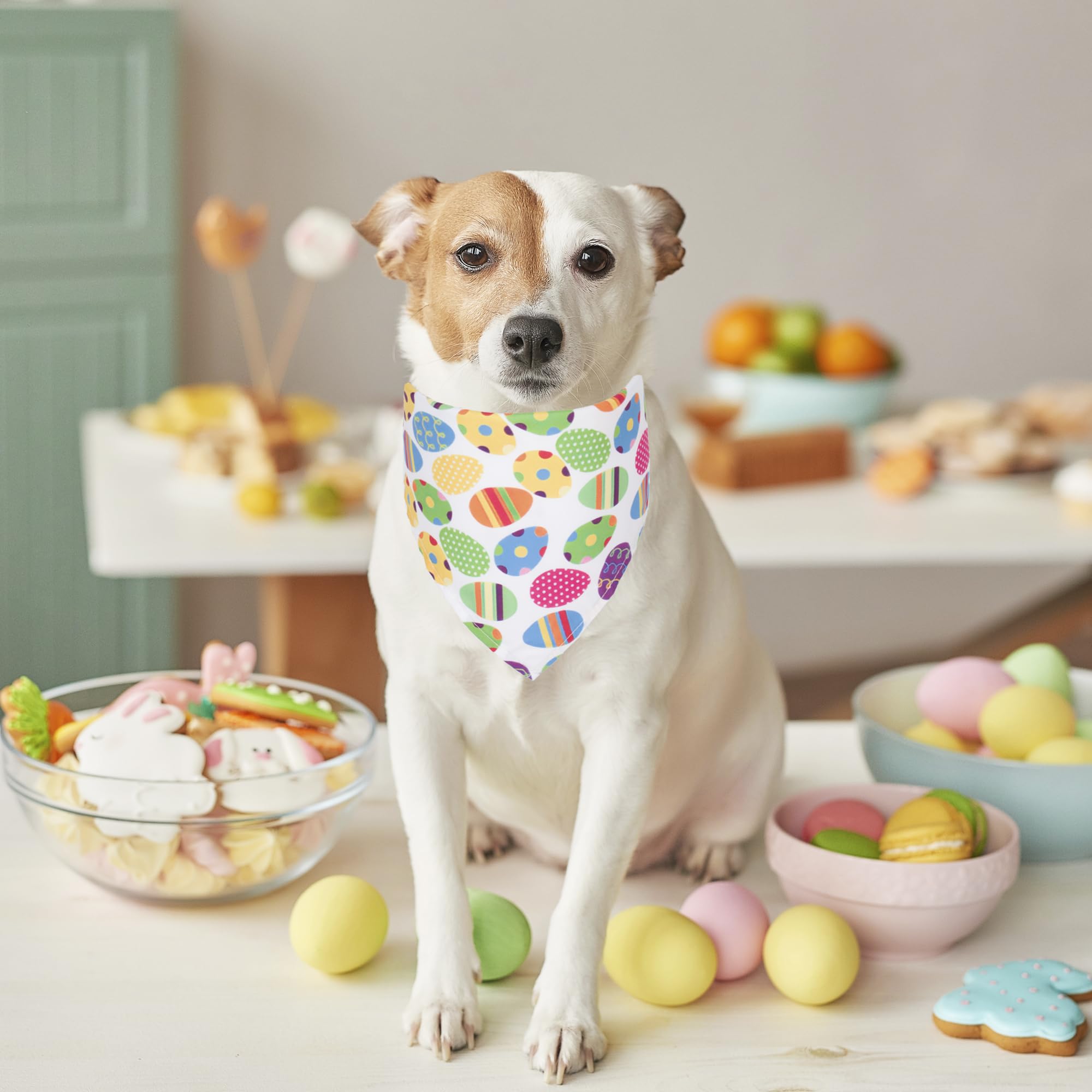 ADOGGYGO 4 Pack Easter Dog Bandana Triangle Dog Scarf Rabbit Easter Egg Pattern Pet Bandana for Medium Large Dogs Pets (Large)