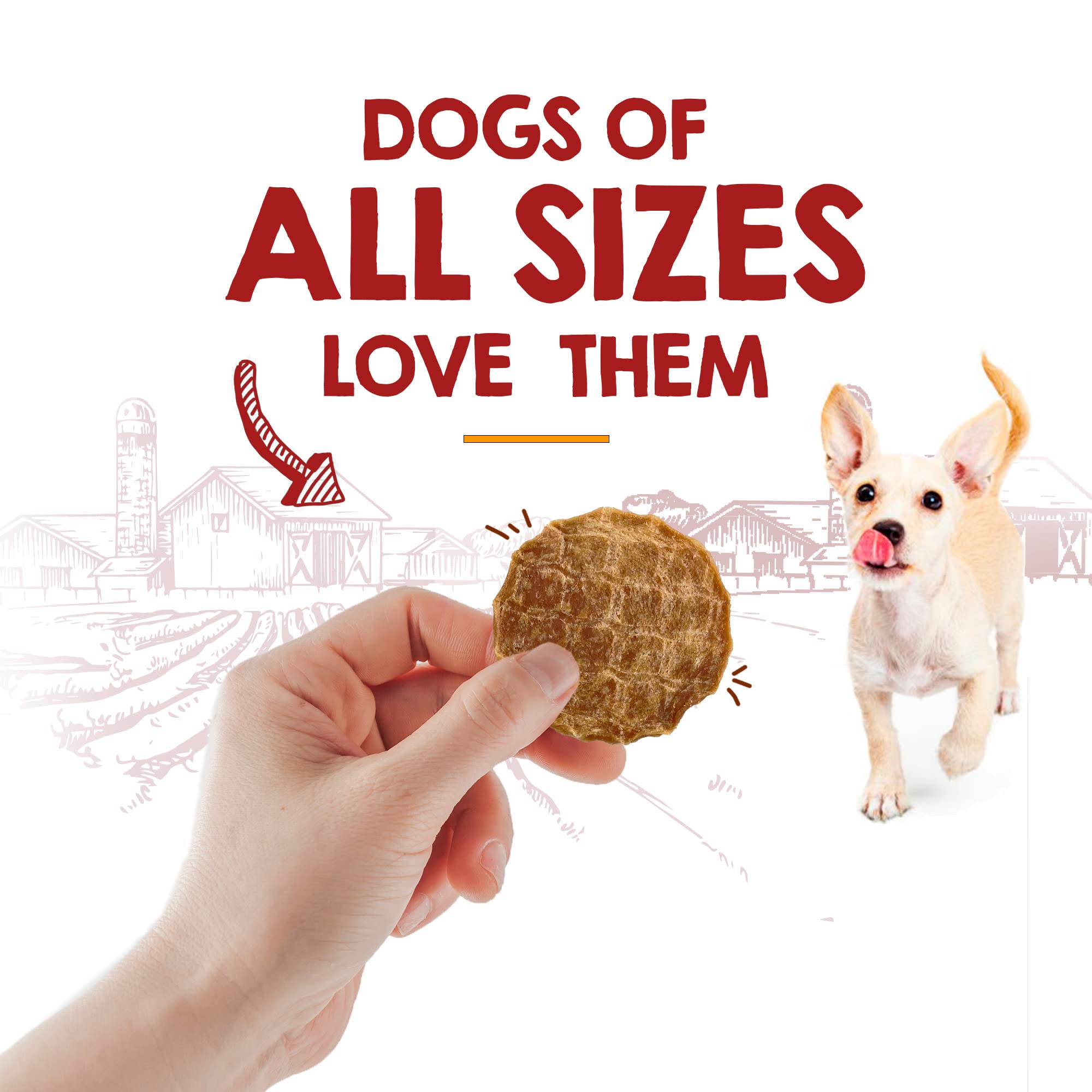 Rileys Waffles Chicken Chips for Dogs - USA Sourced Chicken Dog Treats Single Ingredient Healthy Dog Treats - Dehydrated Chicke