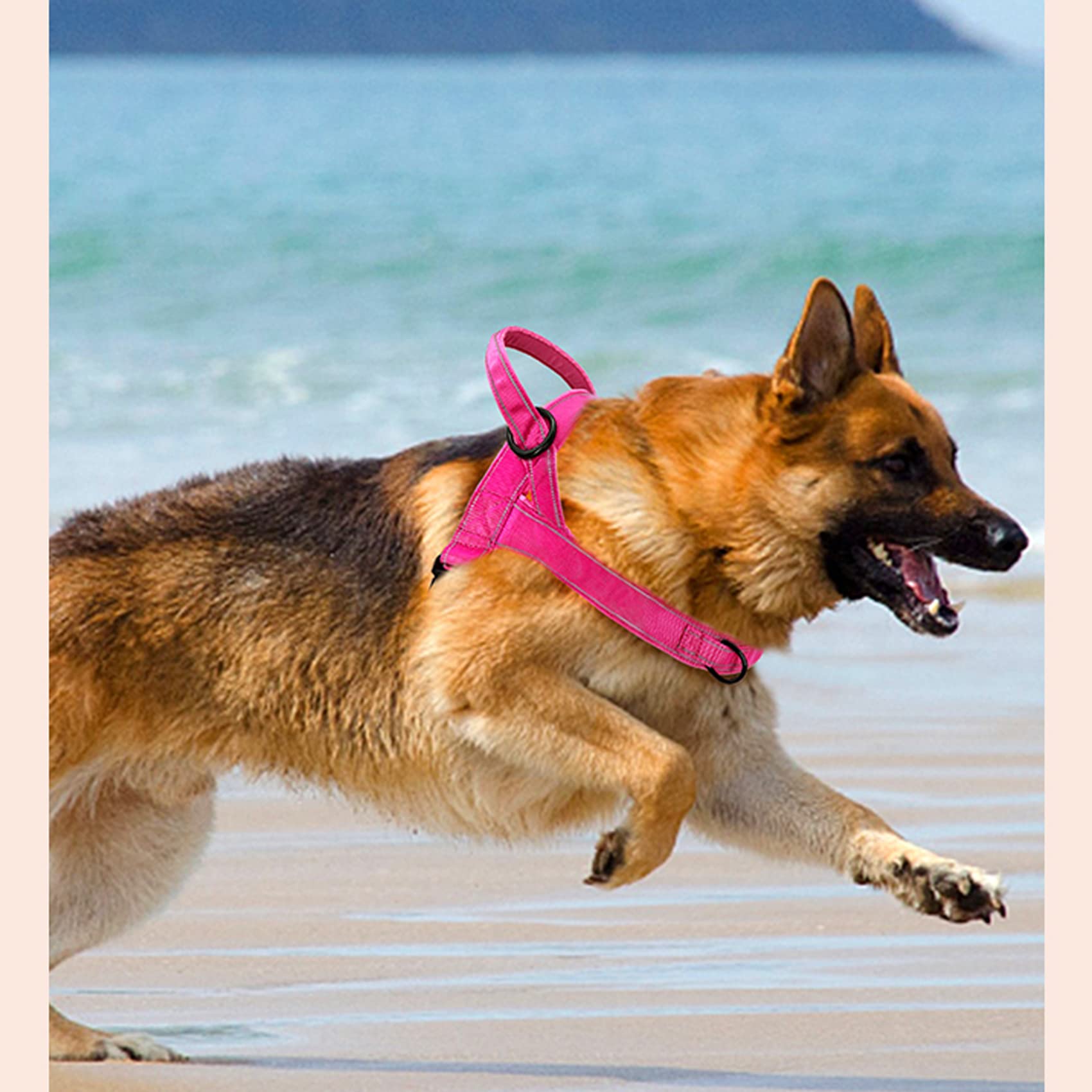 Qifbyfb No Pull Dog Harness For Medium Large Dog, Reflective Escape Proof Adjustable No Pulling Dog Harness, Dog Harness Pink L