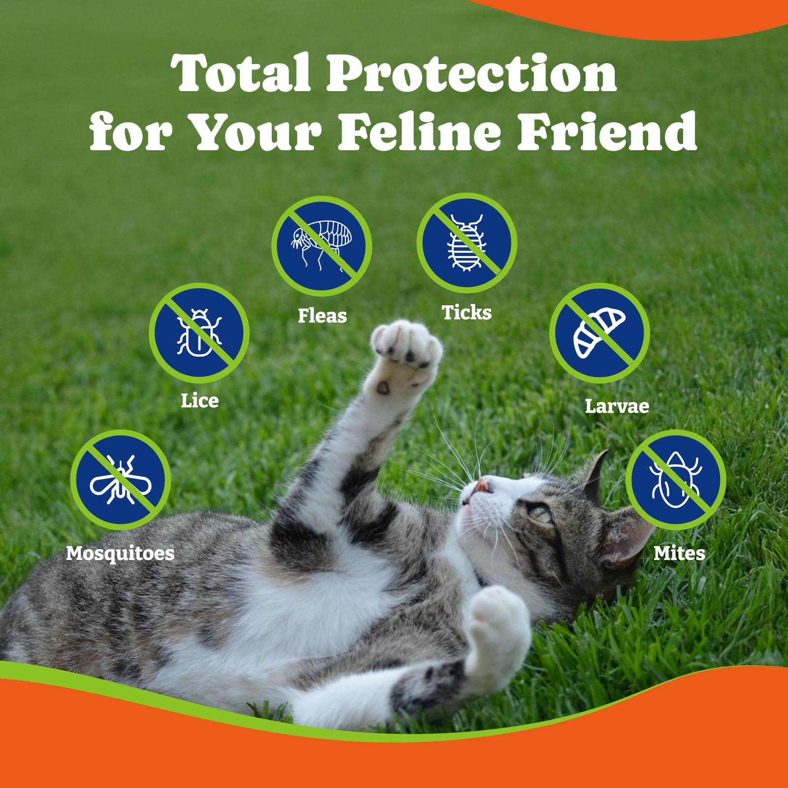 YoYoBay Flea Treatment for Cats - Salmon & Blueberry Flavor Cat Flea Treatment Chewable, Natural Flea and Tick Prevention for Ca