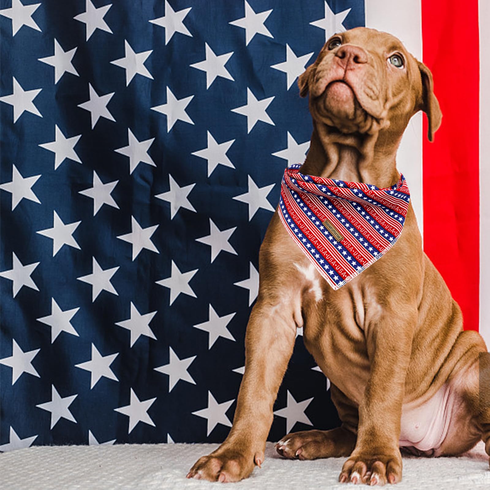 Elegant Little Tail Dog Bandana, Independence Dog Bandana 4Th Of July Adjustable Puppy Scarf Handkerchief Boy Girl Pet Bibs Scar
