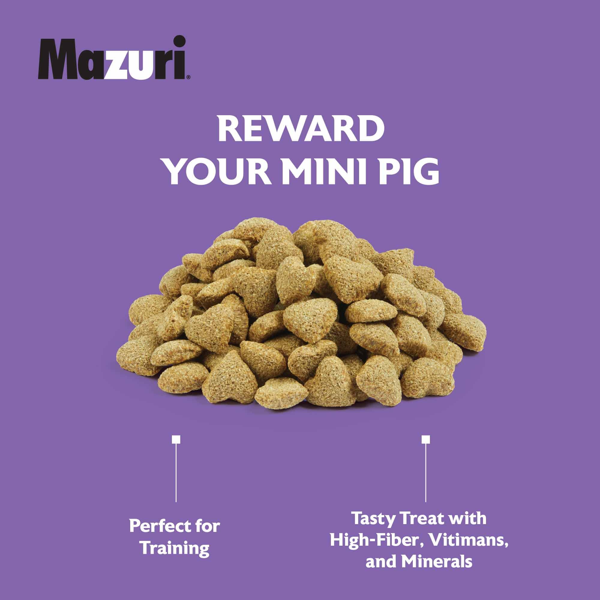 Mazuri Mini Pig Treats - Oat & Honey, 6 lb.