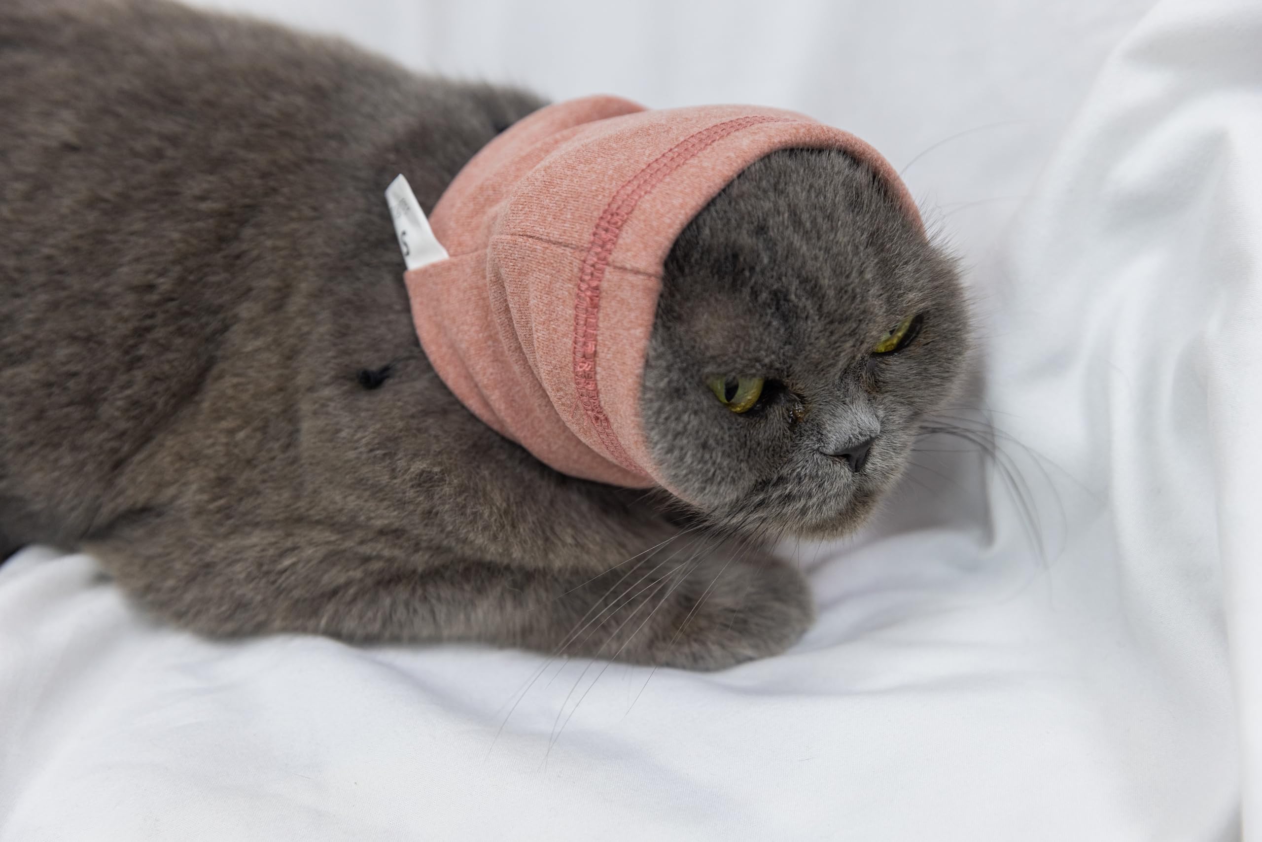 DDFS Cat Anxiety Quiet Ears Snood Head Wrap - Calming Noise Cancelling Cover for Cats - Pink S