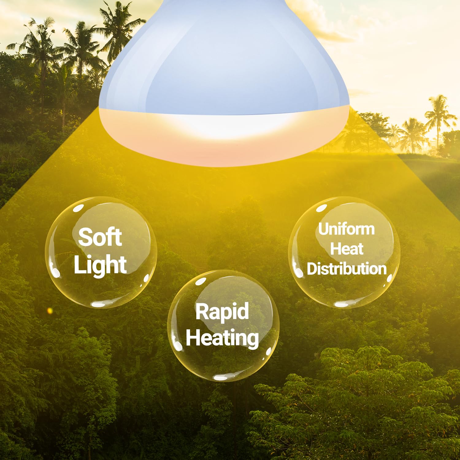 REPTIZOO Reptile Heat Lamp, 2 Pack 50W Daylight Basking Spot Lamp for Reptiles UVA Daylight Heating Lamp Bulb Basking Light for
