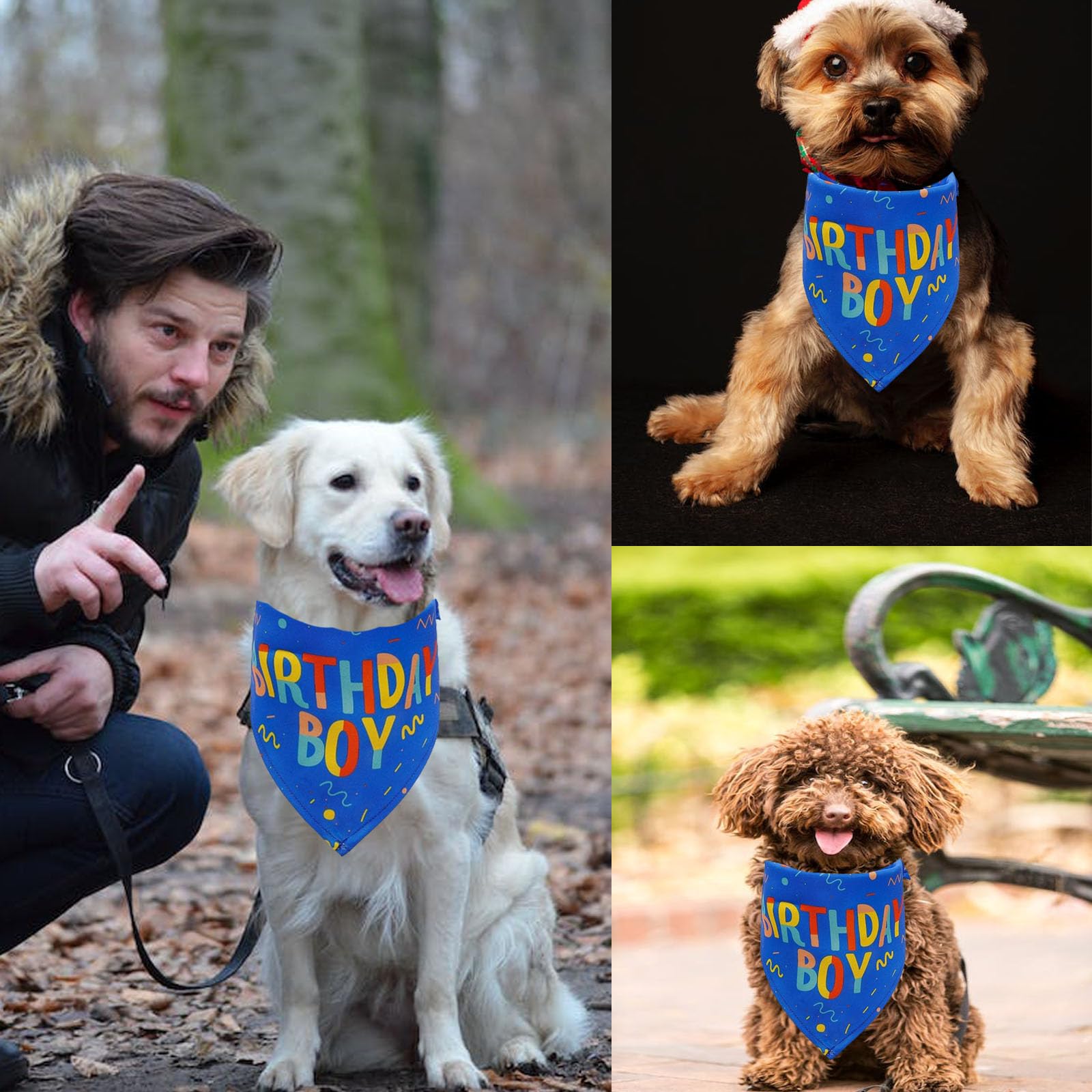 Birthday Boy Dog Bandana, Printed Dog Bandana Pet Scarf Dog Birthday Party Supplies For Dogs Pet Accessories For Dog Lovers Reve
