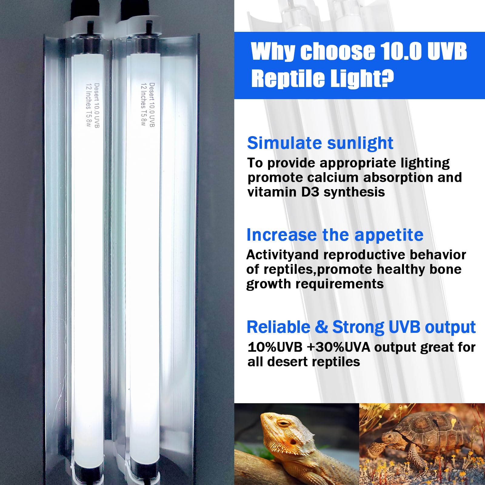 Celiwace T5 Reptile Light Fixture Combo Kit 16 Watts, 12 Inches T5 Uvb Reptile Light, T5 10.0 Uvb Reptile Light Fixture, Desert